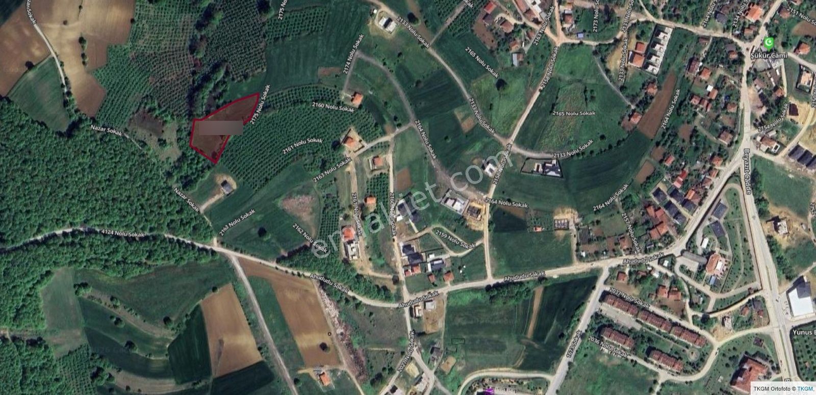 Adapazarı 15 Temmuz Mahallesi 4705 Metrekare Tarla (imara Sıfır) - Görsel 3