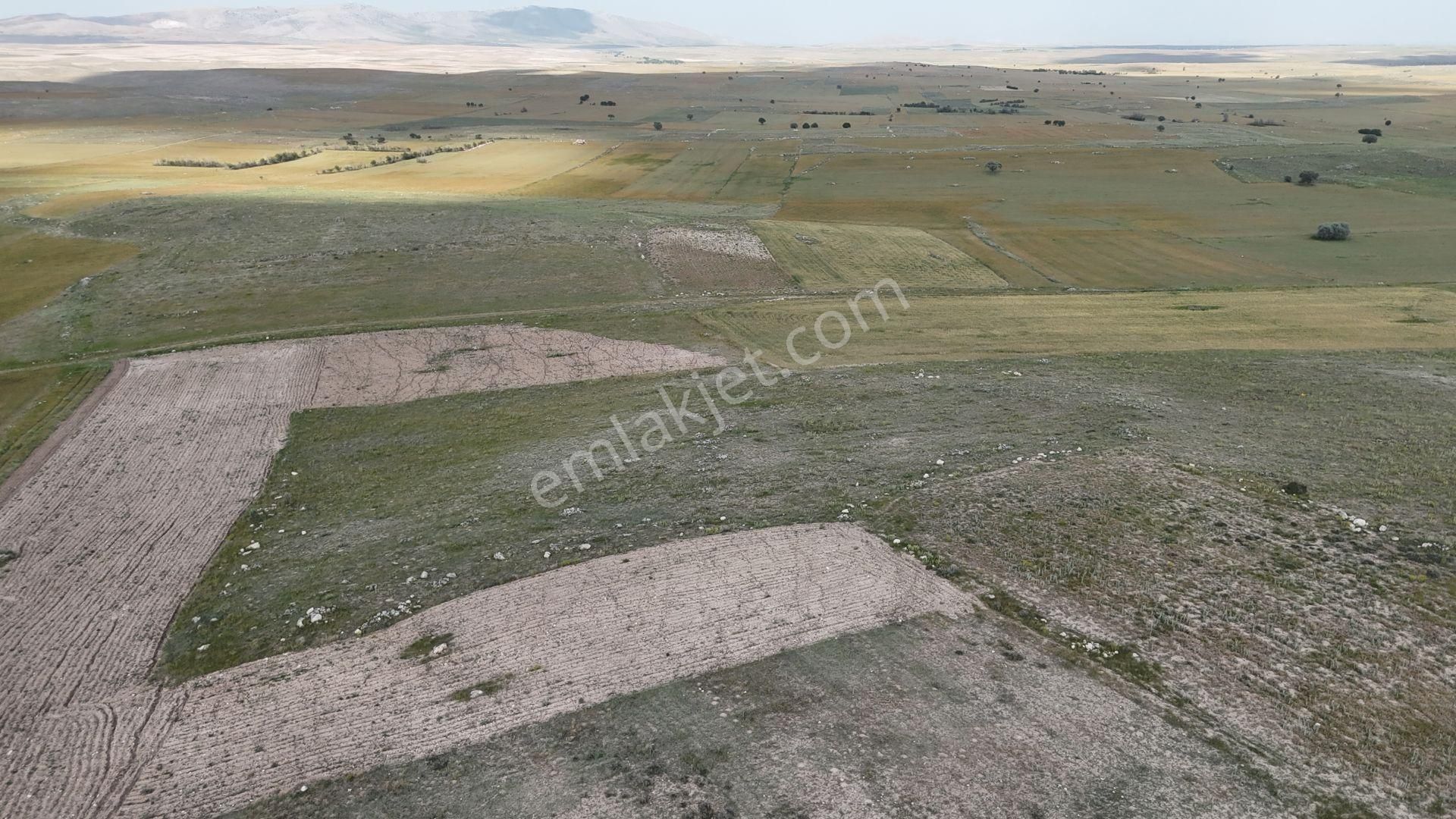 Konya / Akören / Orhaniye Mahallesinde 16.498 M² Müstakil Tapulu Tarla - Görsel 6