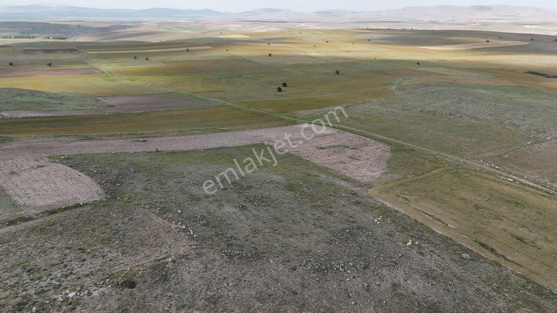 Konya / Akören / Orhaniye Mahallesinde 16.498 M² Müstakil Tapulu Tarla - Görsel 7