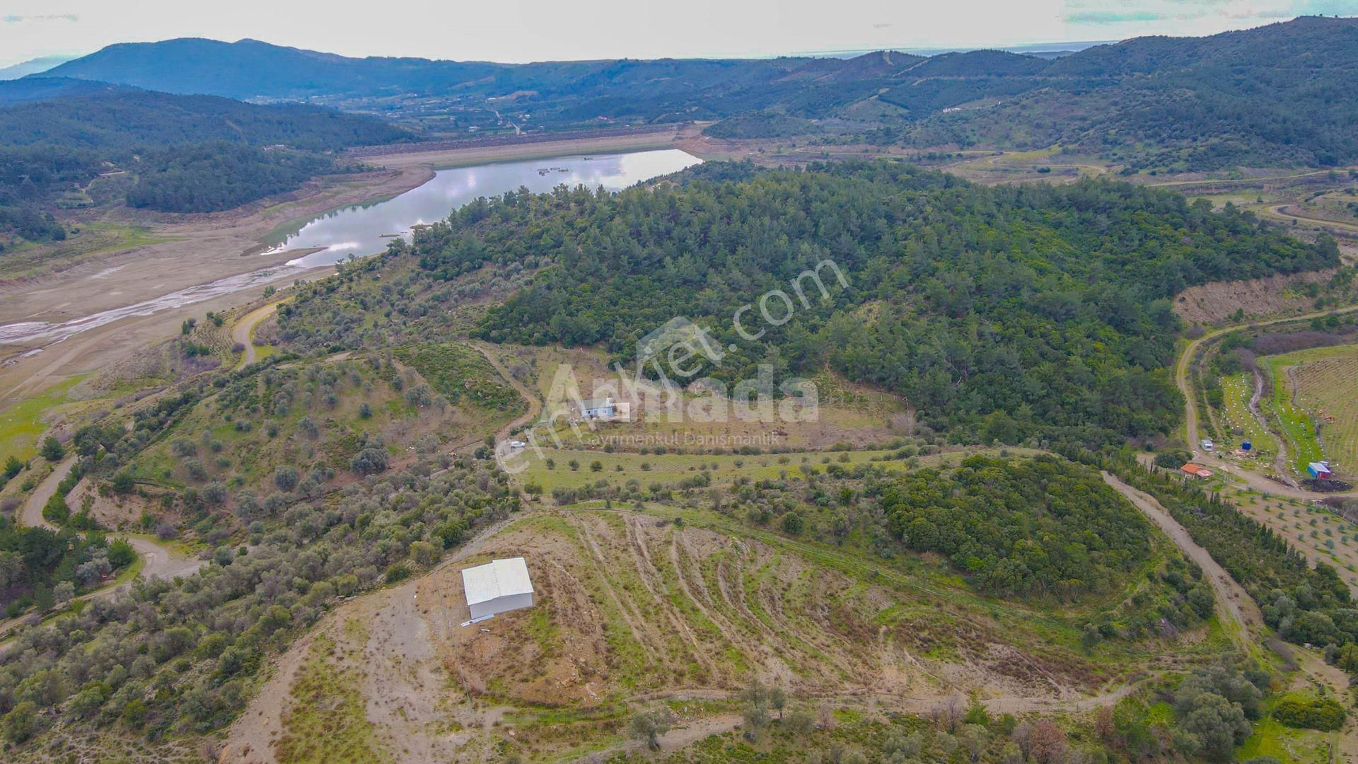 İzmir Seferihisarda Doğa İçinde Verimli Tarla - Görsel 5