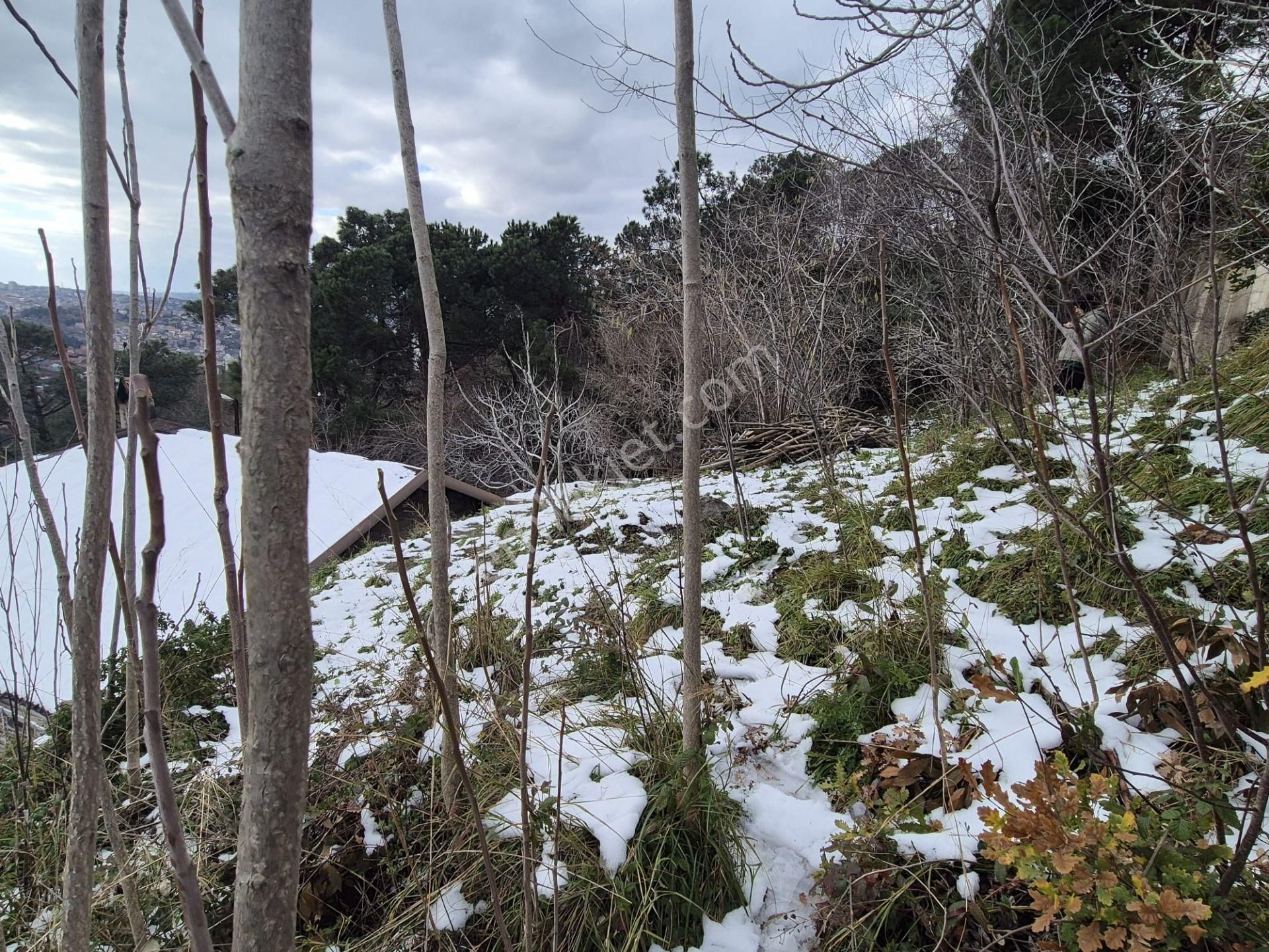 Beykoz Gümüşsuyu'nda Deniz Ve Doğa Manzaralı Satılık Arsa - Görsel 26