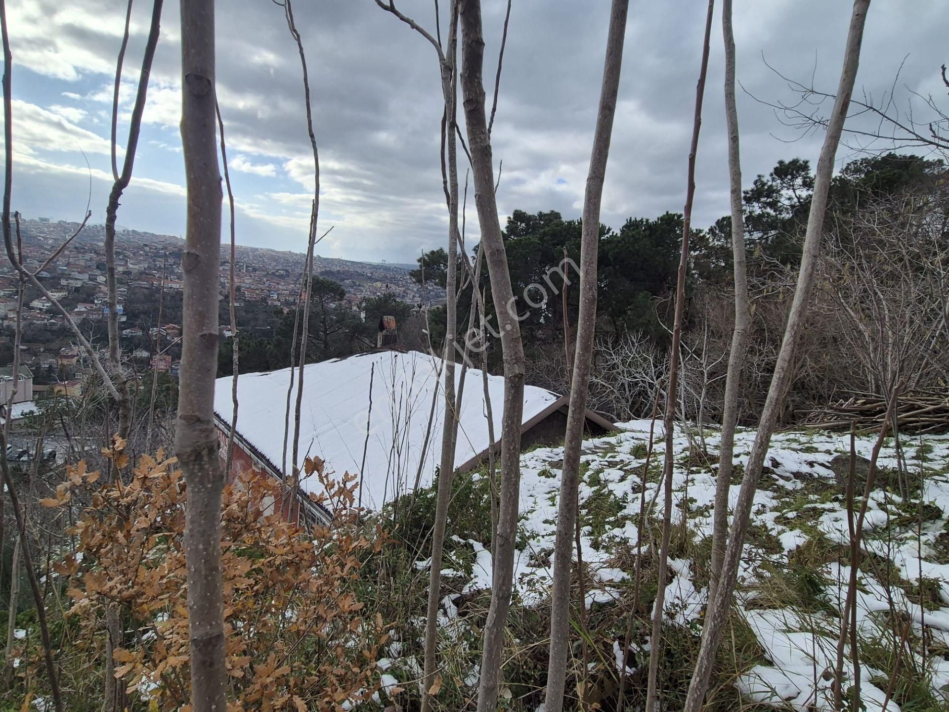 Beykoz Gümüşsuyu'nda Deniz Ve Doğa Manzaralı Satılık Arsa - Görsel 18