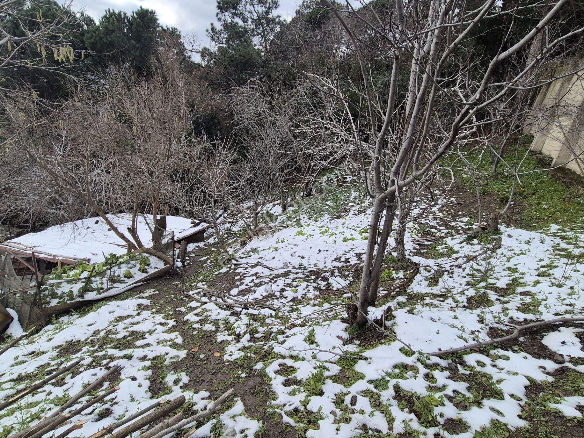Beykoz Gümüşsuyu'nda Deniz Ve Doğa Manzaralı Satılık Arsa - Görsel 19