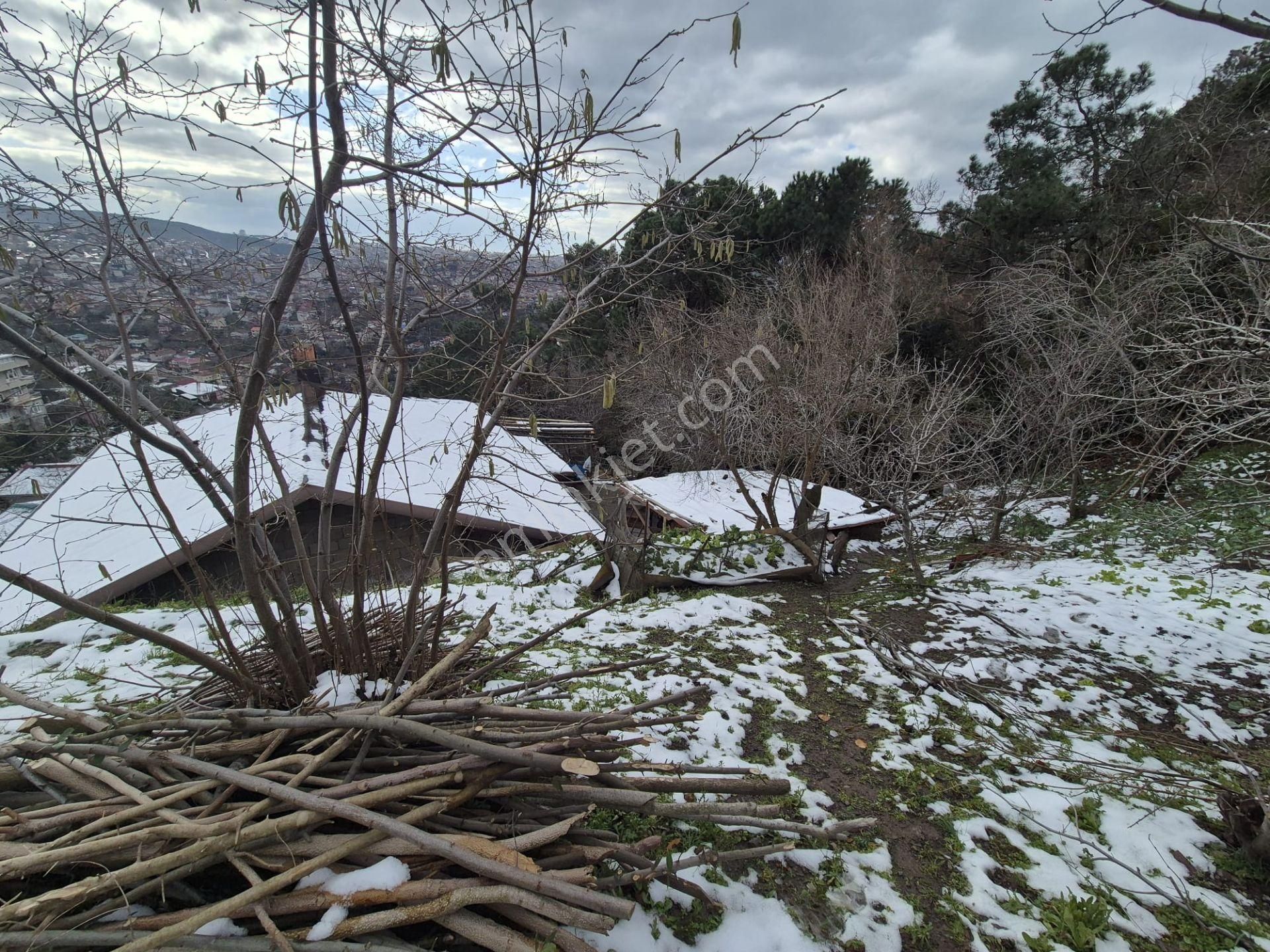 Beykoz Gümüşsuyu'nda Deniz Ve Doğa Manzaralı Satılık Arsa - Görsel 14