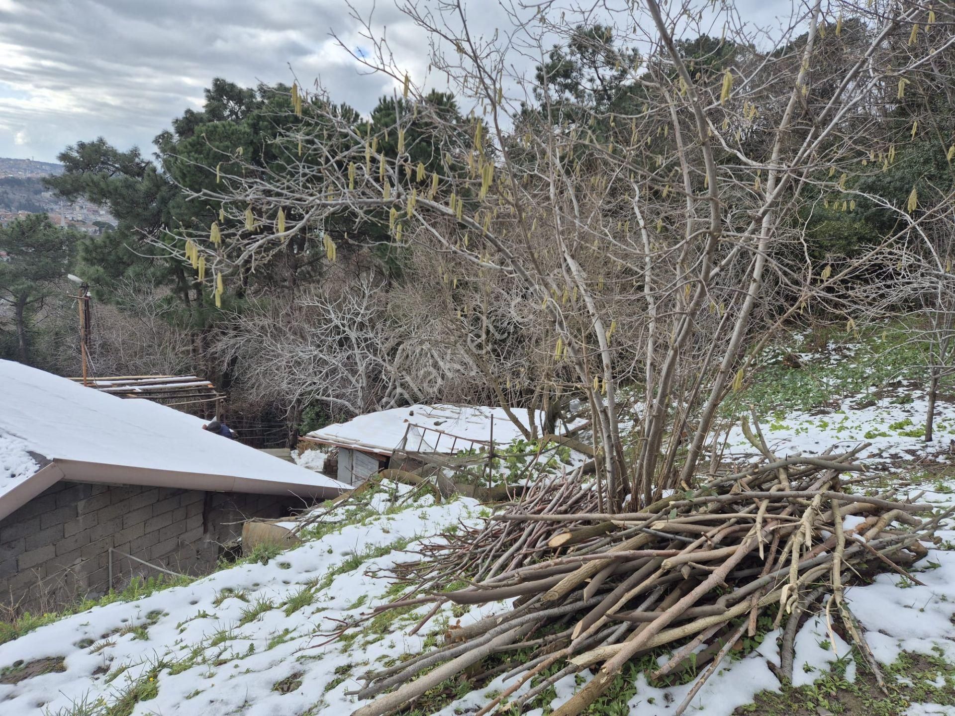 Beykoz Gümüşsuyu'nda Deniz Ve Doğa Manzaralı Satılık Arsa - Görsel 23
