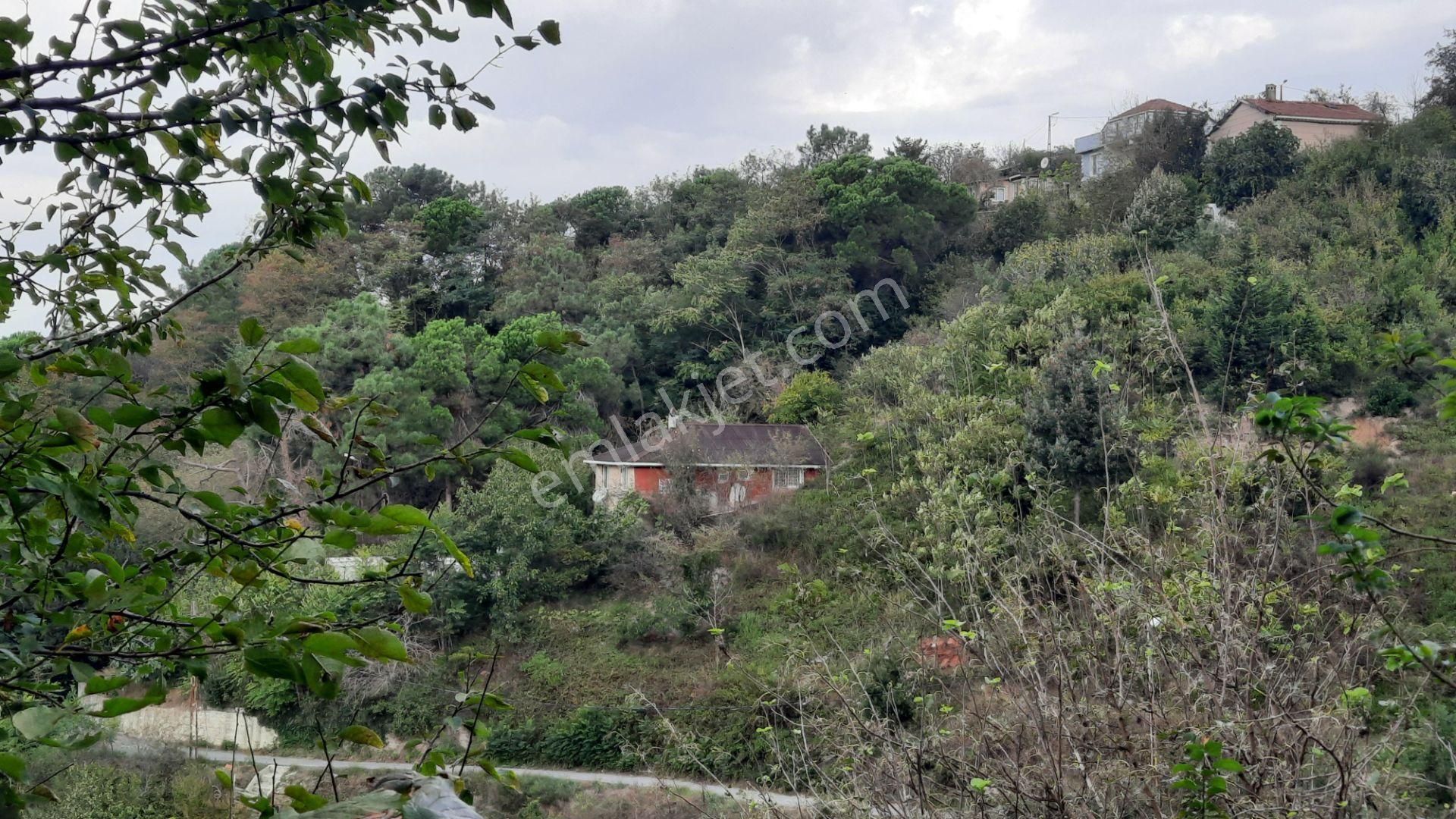 Beykoz Gümüşsuyu'nda Deniz Ve Doğa Manzaralı Satılık Arsa - Görsel 3