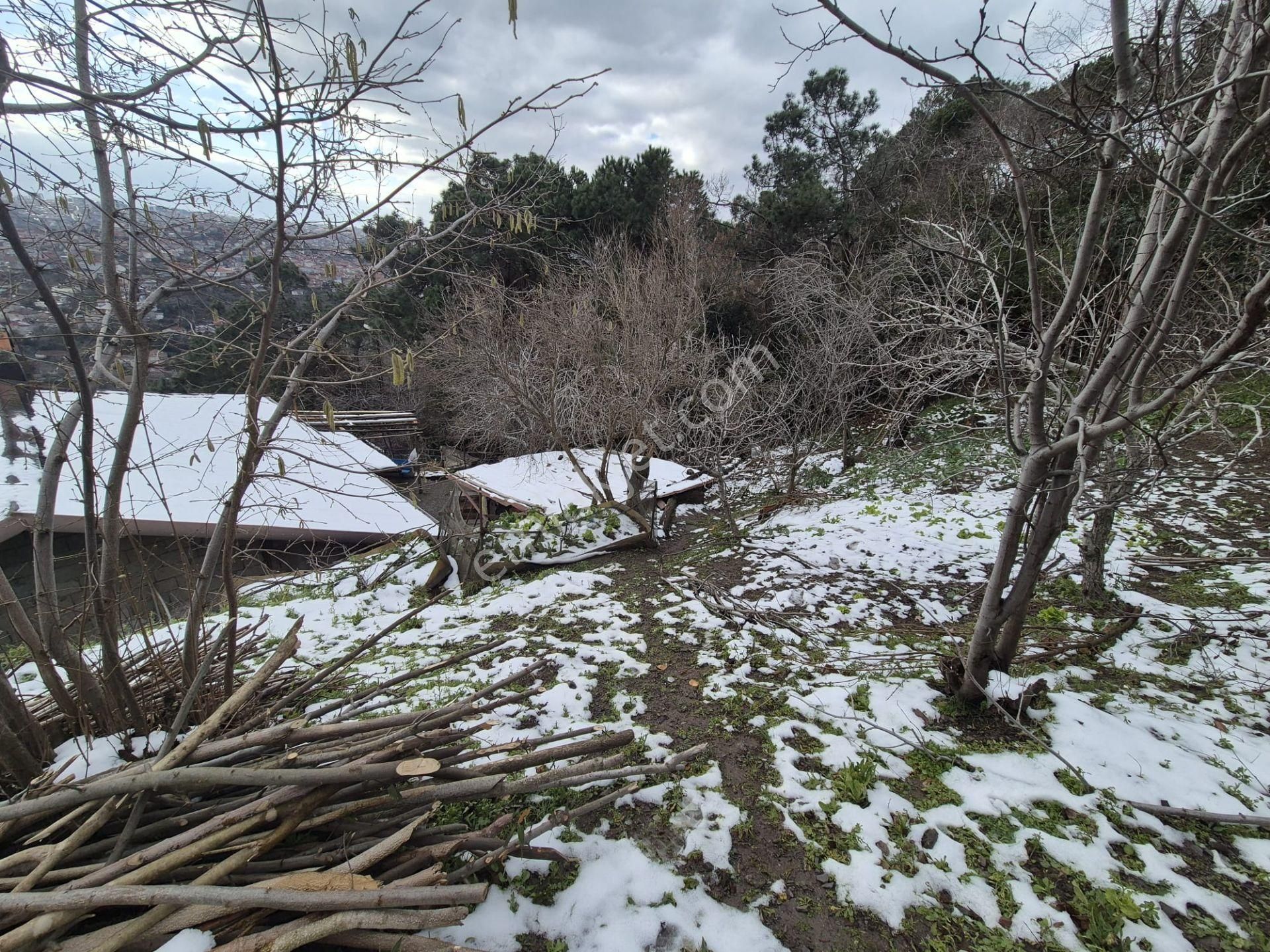 Beykoz Gümüşsuyu'nda Deniz Ve Doğa Manzaralı Satılık Arsa - Görsel 16