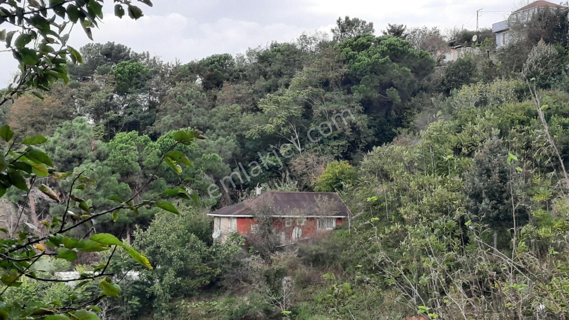Beykoz Gümüşsuyu'nda Deniz Ve Doğa Manzaralı Satılık Arsa - Görsel 4