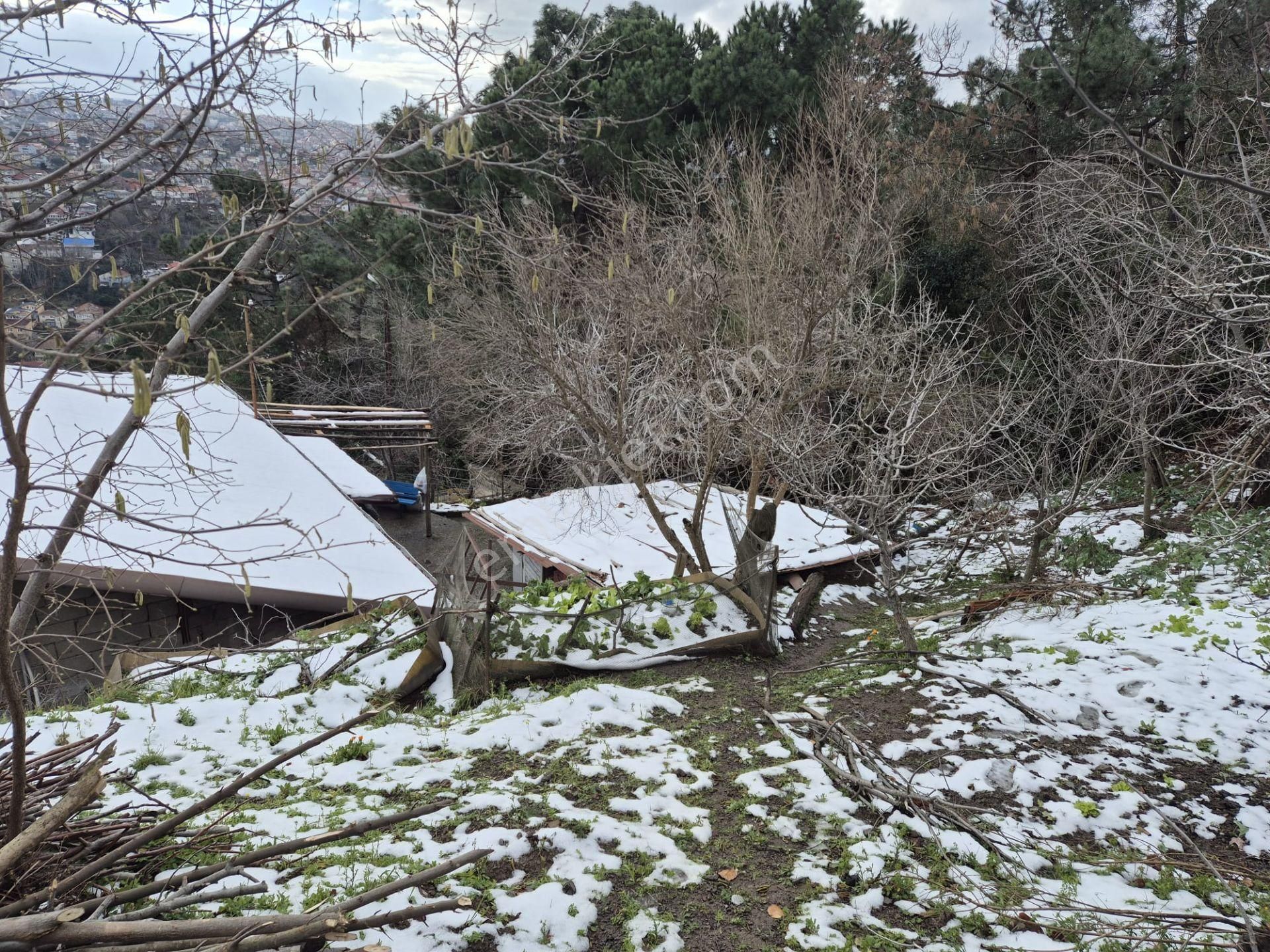 Beykoz Gümüşsuyu'nda Deniz Ve Doğa Manzaralı Satılık Arsa - Görsel 21