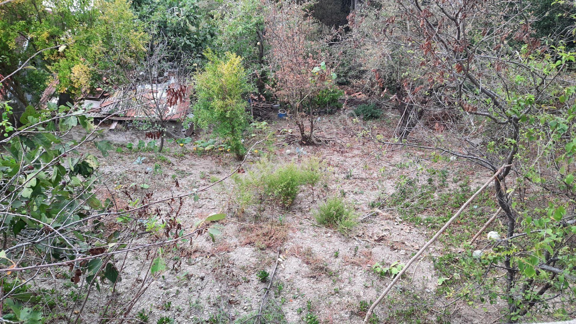 Beykoz Gümüşsuyu'nda Deniz Ve Doğa Manzaralı Satılık Arsa - Görsel 6