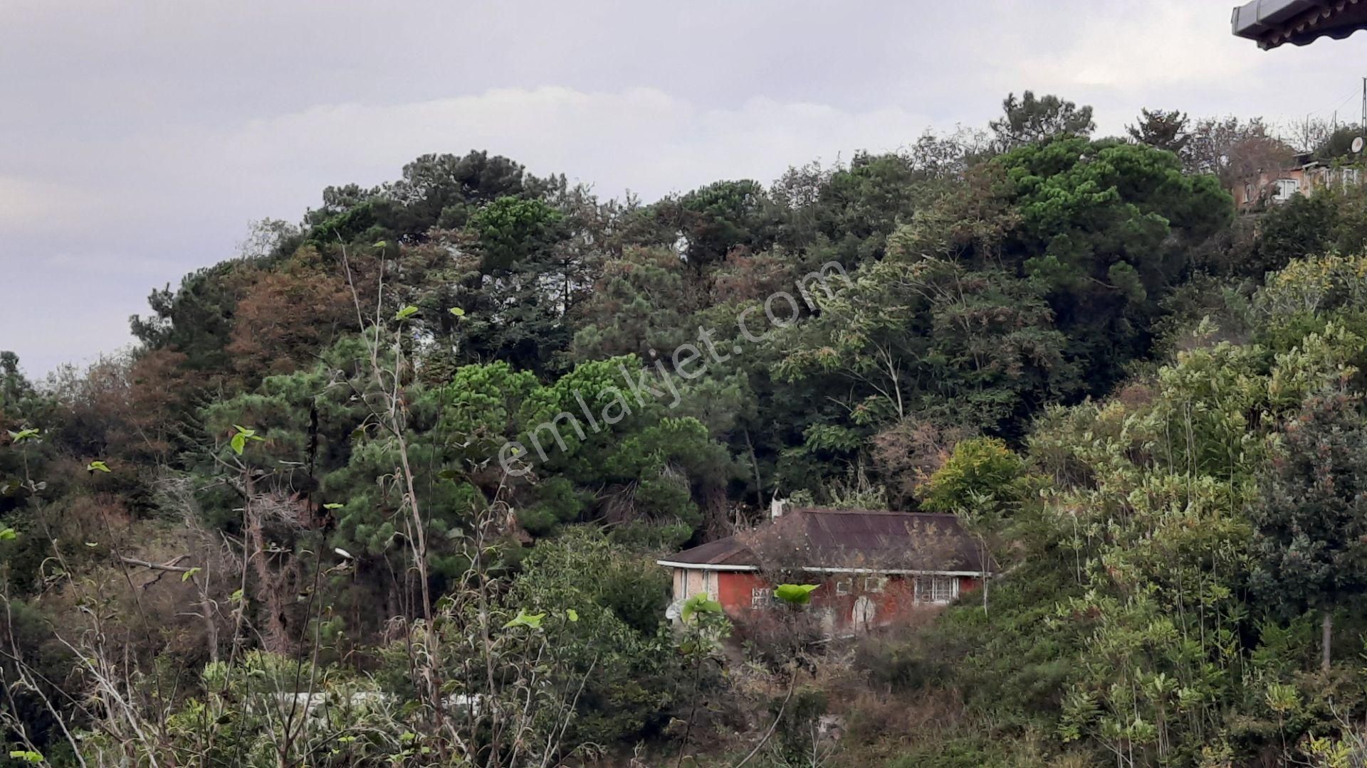 Beykoz Gümüşsuyu'nda Deniz Ve Doğa Manzaralı Satılık Arsa - Görsel 9