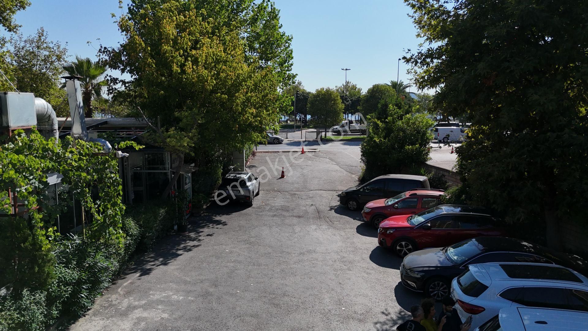 Kartal Sahil'e Sıfır 11.240m2 Manzaralı %1.5 İmarlı Satılık Arsa - Görsel 29