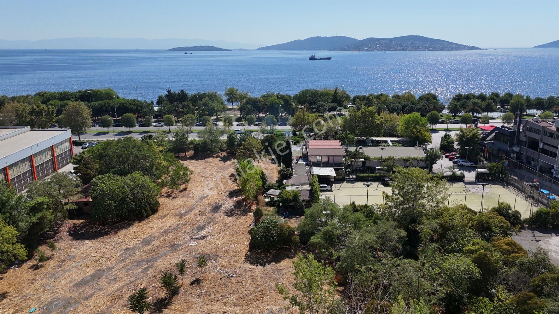 Kartal Sahil'e Sıfır 11.240m2 Manzaralı %1.5 İmarlı Satılık Arsa - Görsel 14