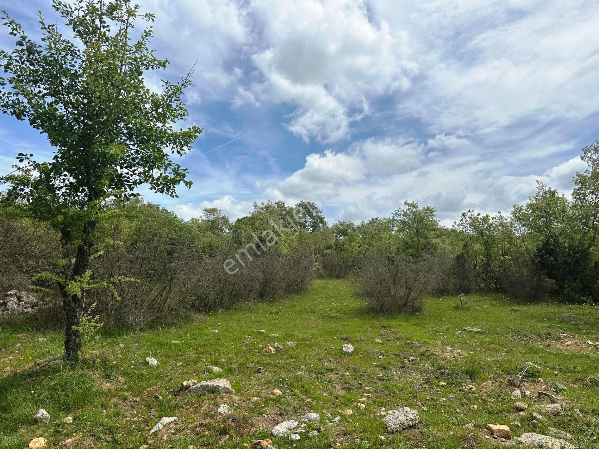 Ahlatlıburun Köyü Termal Turizm Bölge Yakını 7500m2 Satılık Arsa - Görsel 6