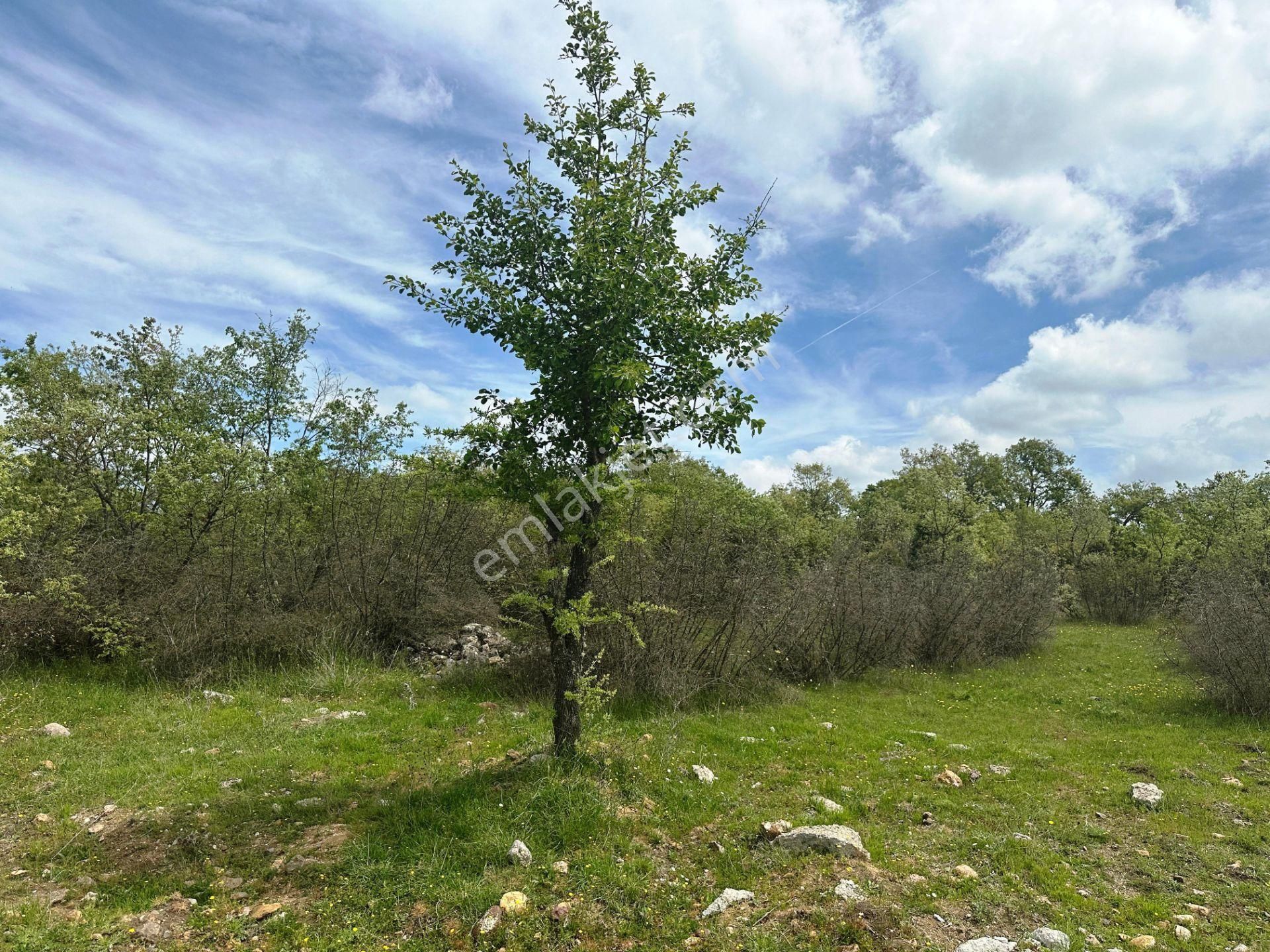 Ahlatlıburun Köyü Termal Turizm Bölge Yakını 7500m2 Satılık Arsa - Görsel 32