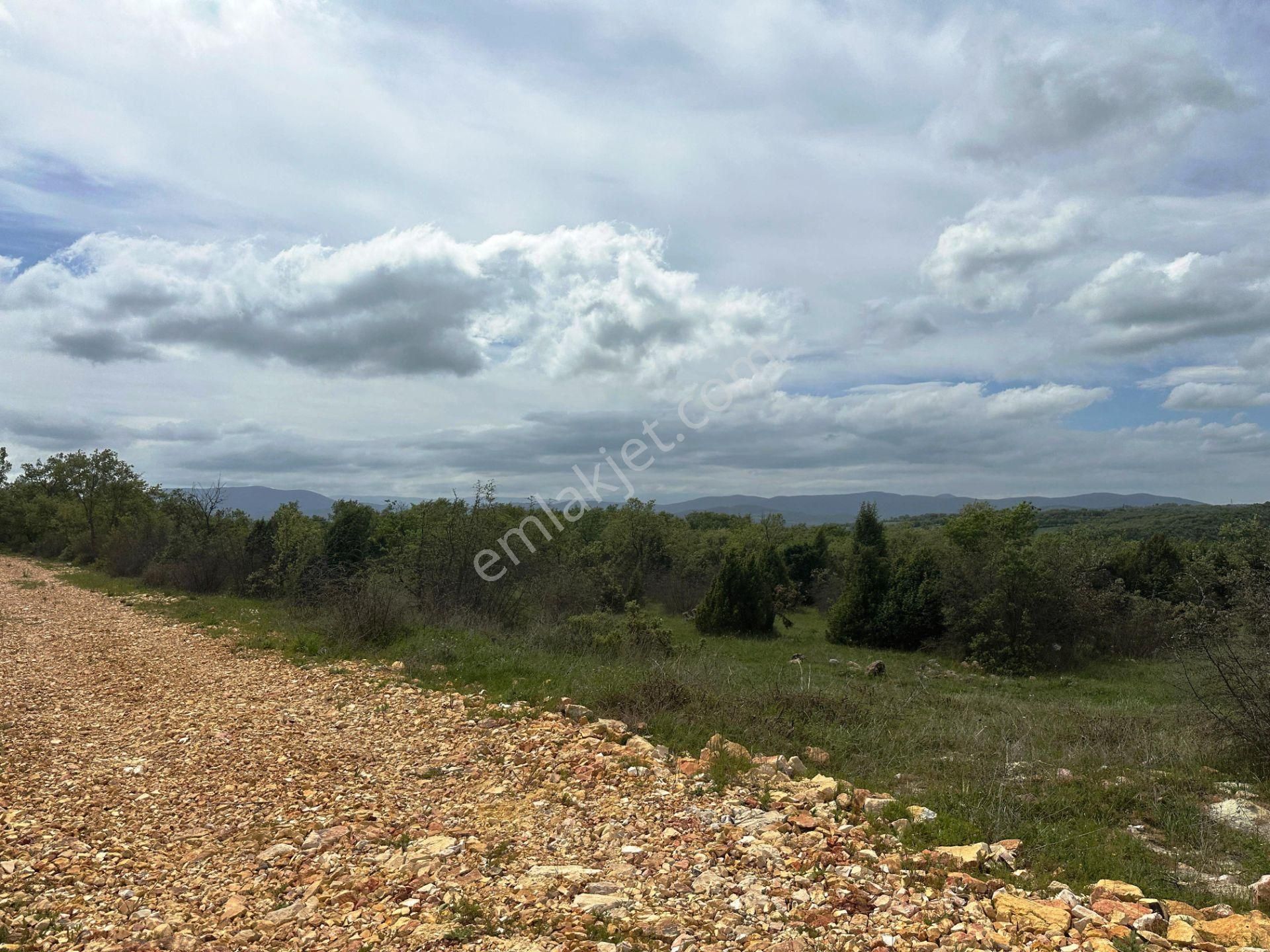 Ahlatlıburun Köyü Termal Turizm Bölge Yakını 7500m2 Satılık Arsa - Görsel 26