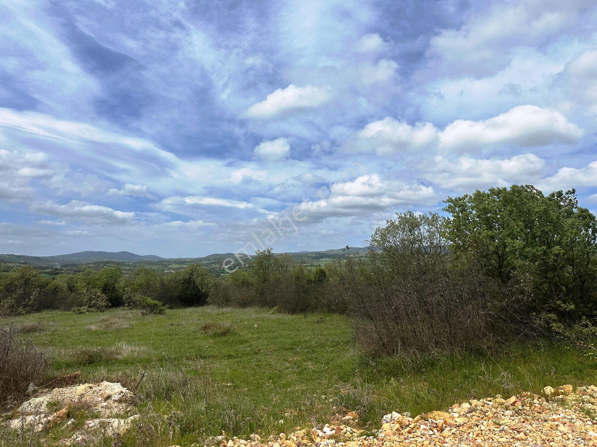 Ahlatlıburun Köyü Termal Turizm Bölge Yakını 7500m2 Satılık Arsa - Görsel 15