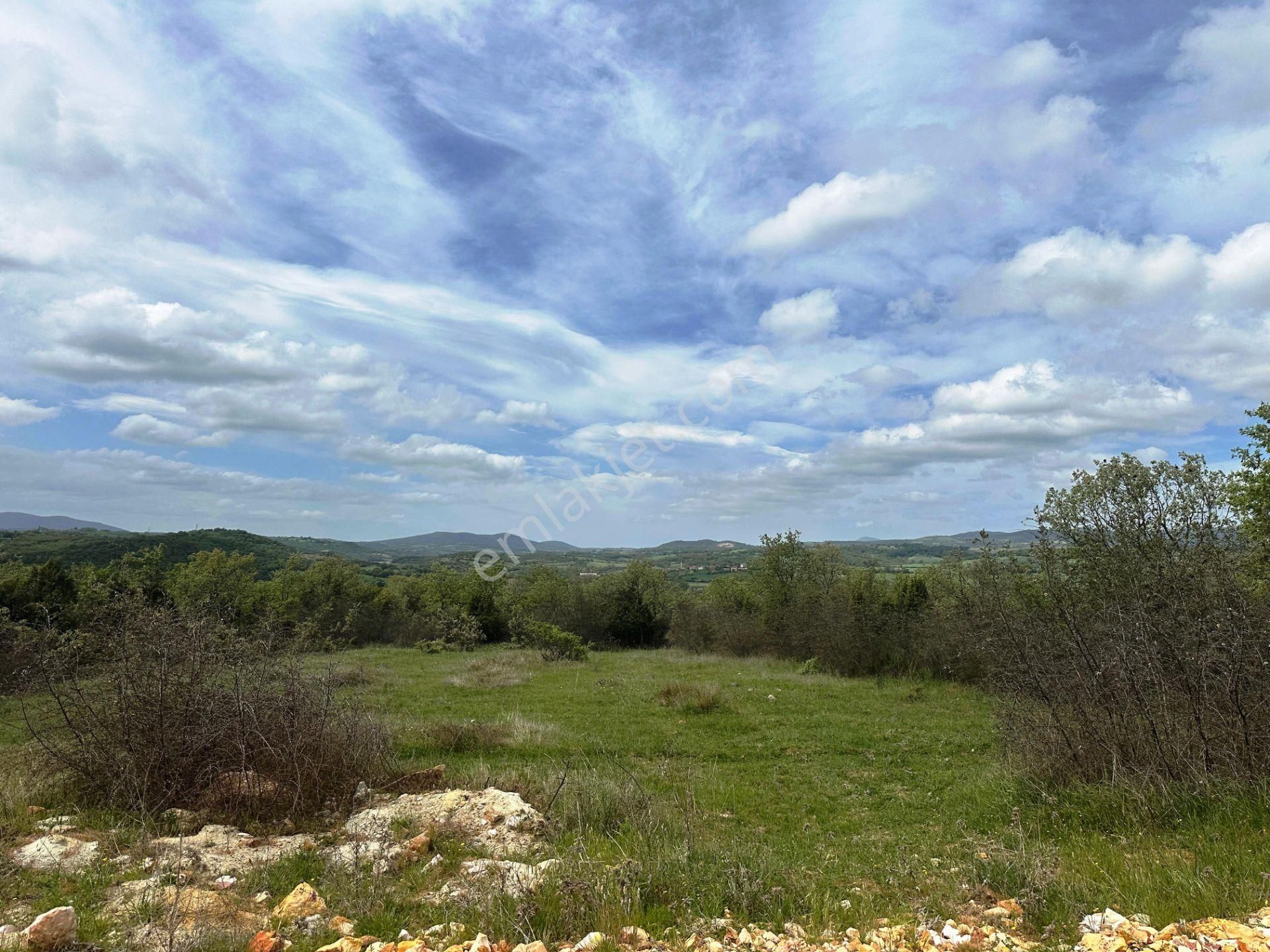 Ahlatlıburun Köyü Termal Turizm Bölge Yakını 7500m2 Satılık Arsa - Görsel 14