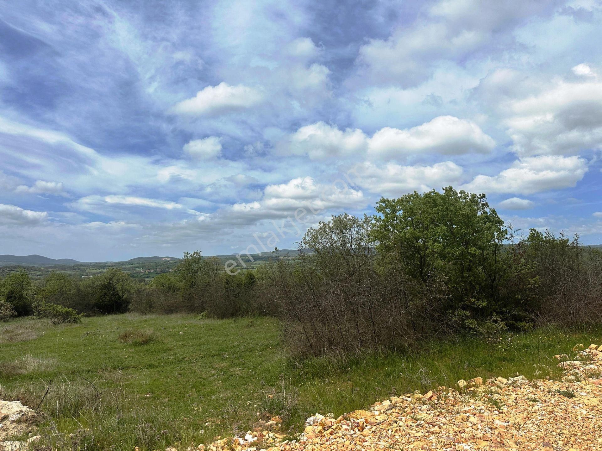 Ahlatlıburun Köyü Termal Turizm Bölge Yakını 7500m2 Satılık Arsa - Görsel 19