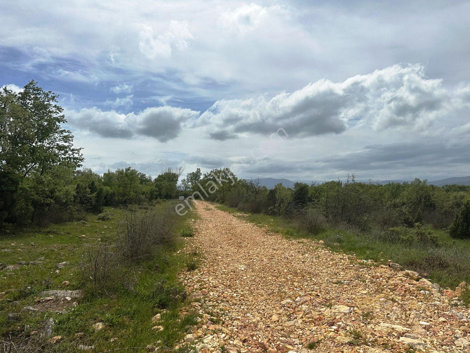Ahlatlıburun Köyü Termal Turizm Bölge Yakını 7500m2 Satılık Arsa - Görsel 27
