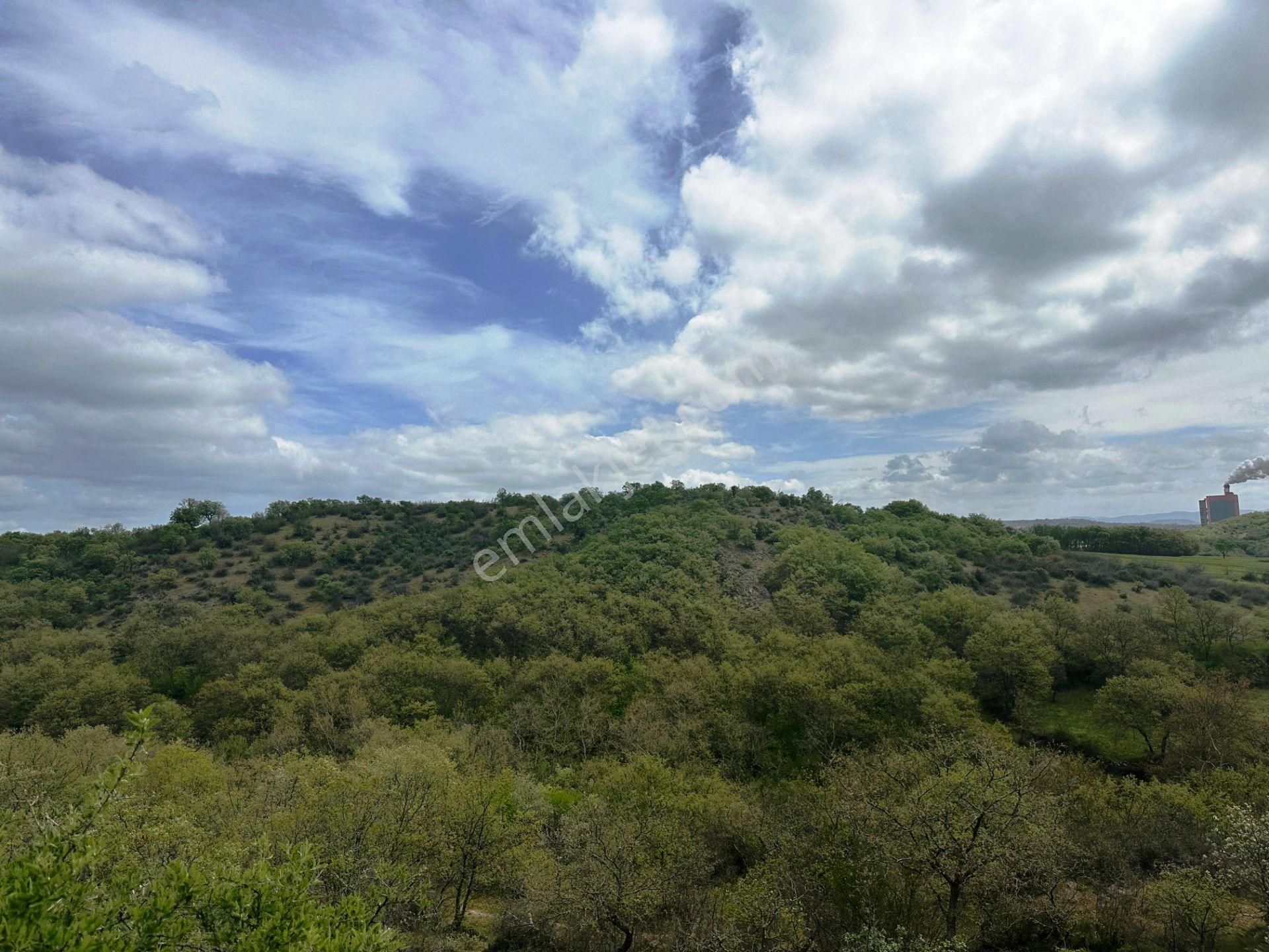 Çan Bahadırlı Köyünde 4.800m2 Yola Ve Ormana Cephe Satılık Arsa - Görsel 20
