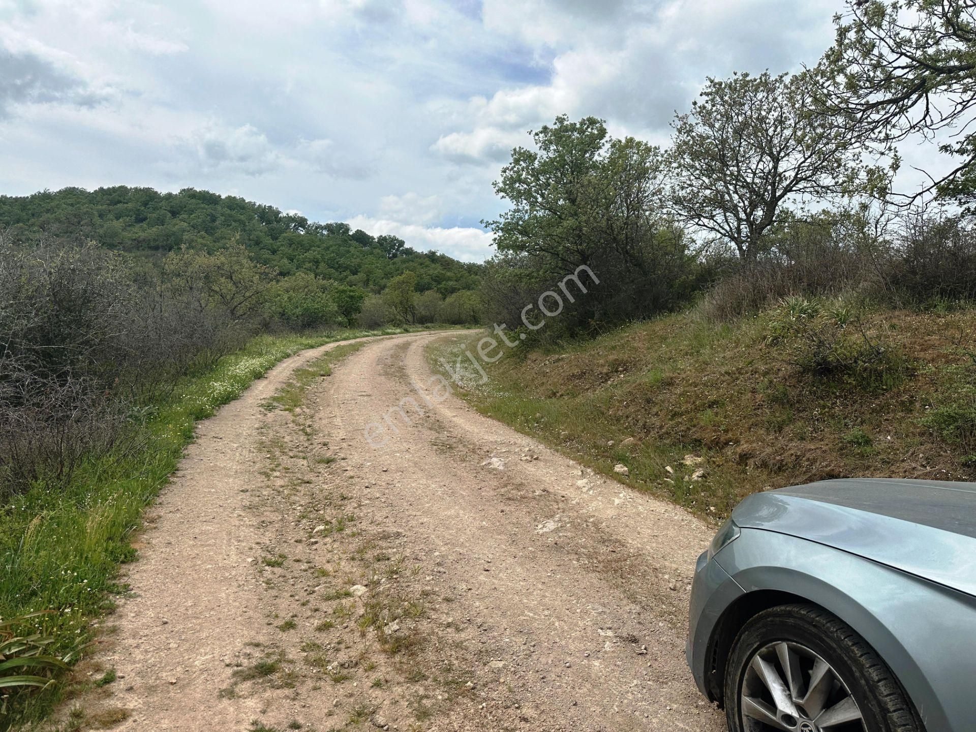 Çan Bahadırlı Köyünde 4.800m2 Yola Ve Ormana Cephe Satılık Arsa - Görsel 13