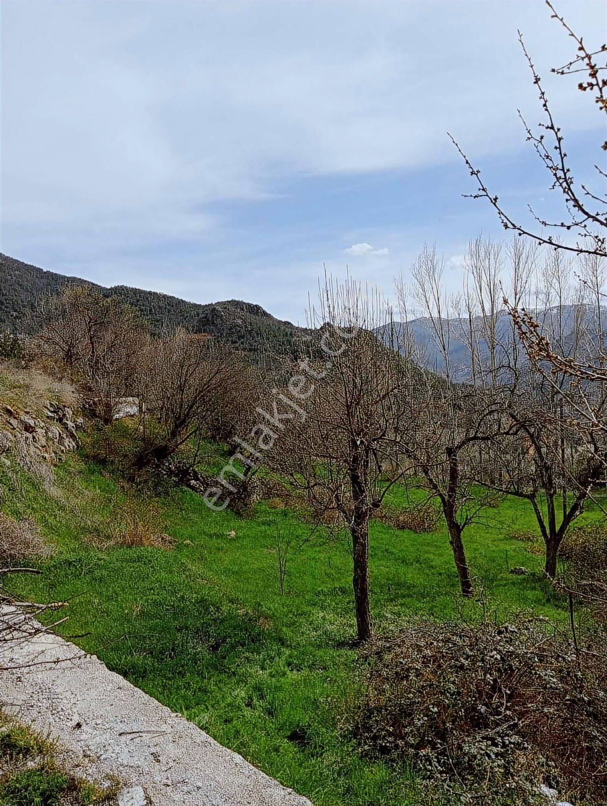 2y Duman Emlak Ve Gayrimenkul'den Satılık Arsa - Görsel 17