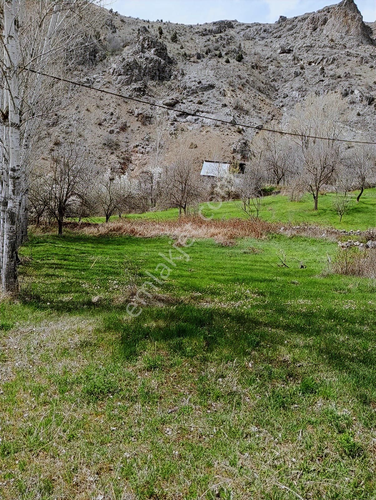 2y Duman Emlak Ve Gayrimenkul'den Satılık Arsa - Görsel 3