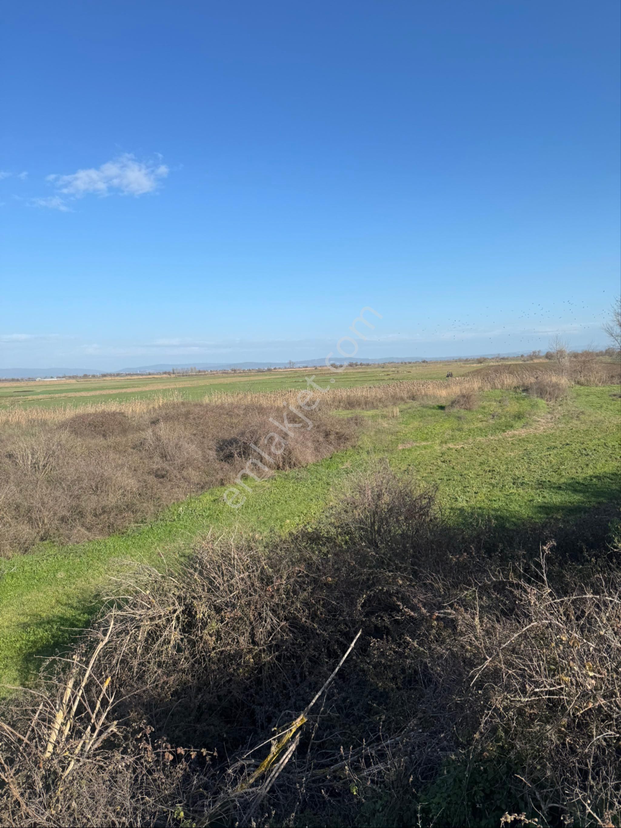 Mustafakemalpaşa Yamanlı Mahallesi 24 Dönüm Sulu Tarım Arazisi