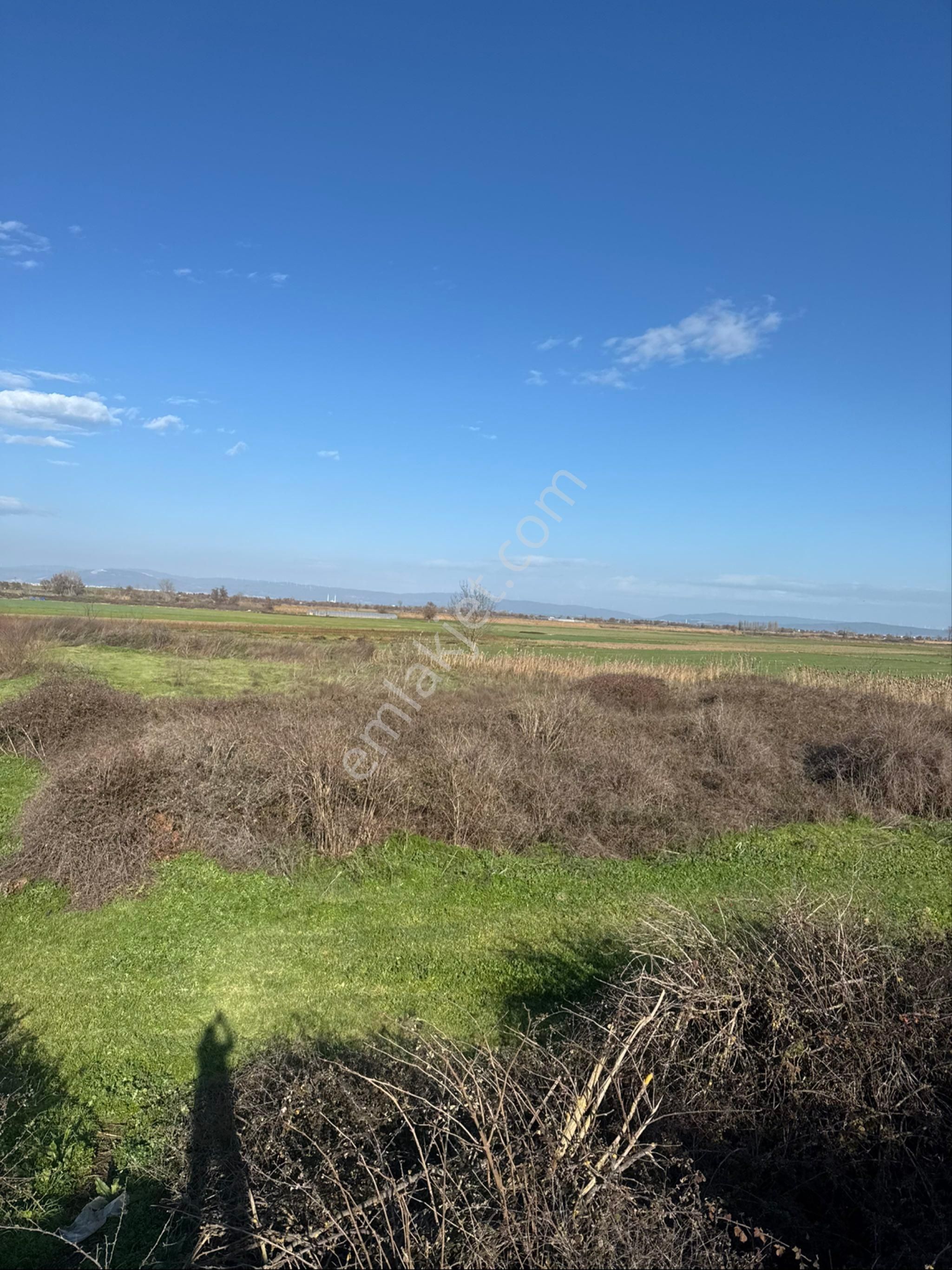 Mustafakemalpaşa Yamanlı Mahallesi 24 Dönüm Sulu Tarım Arazisi - Görsel 4