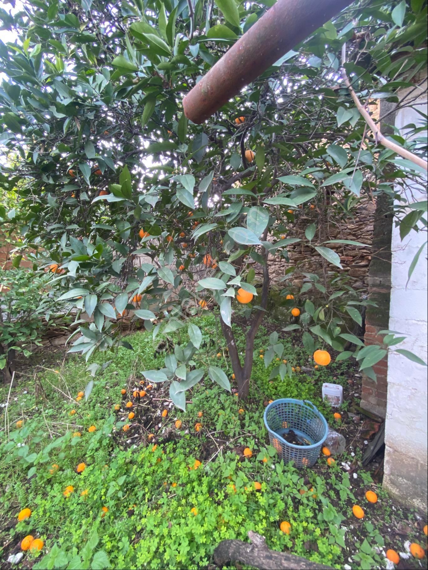 Avlulu Kargır Ev Ve Samanlık - Görsel 20