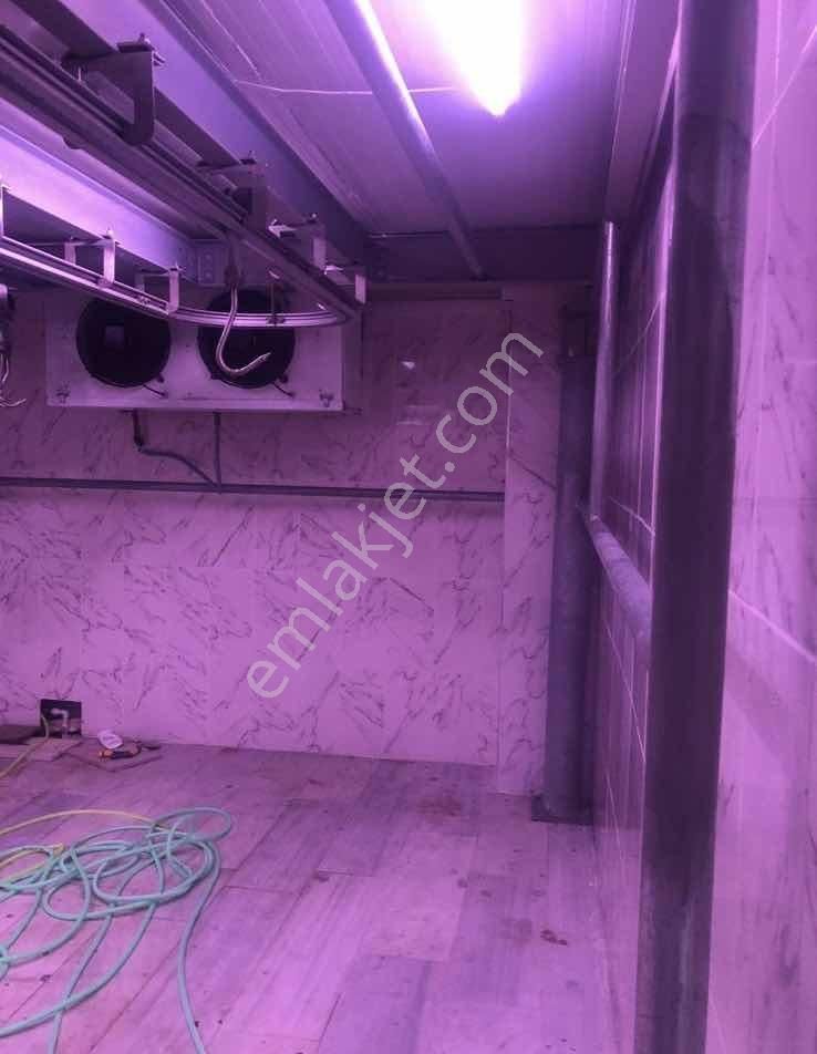 Yön Group'tan Merkezde Kiralık Soğuk Hava Deposu - Görsel 7