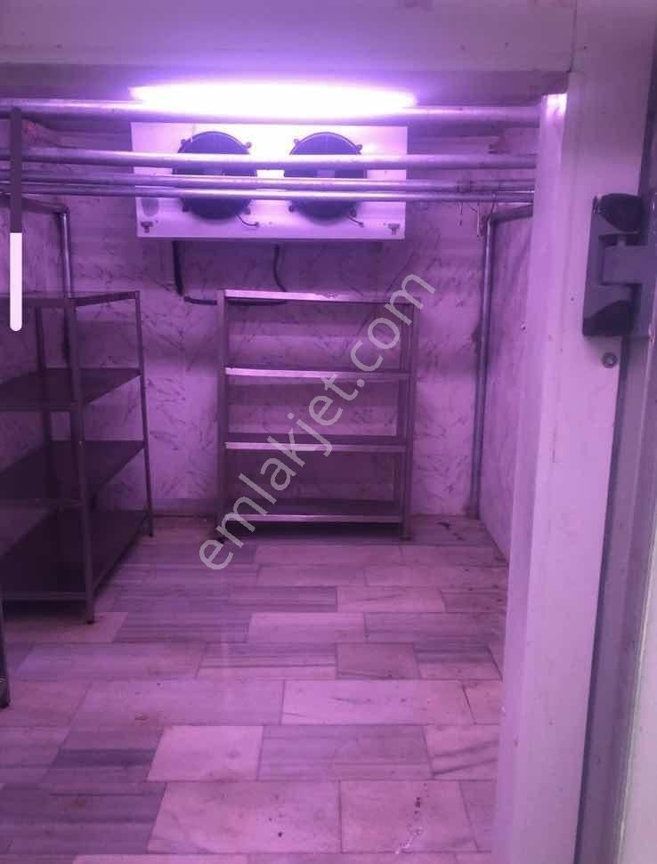 Yön Group'tan Merkezde Kiralık Soğuk Hava Deposu - Görsel 5
