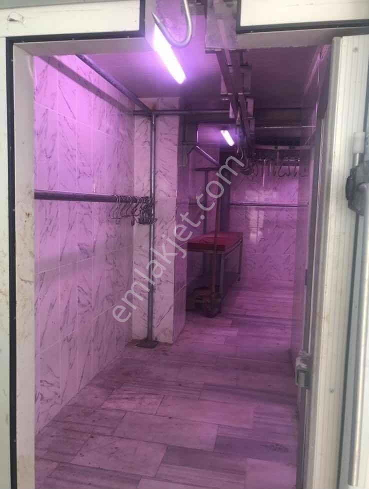 Yön Group'tan Merkezde Kiralık Soğuk Hava Deposu - Görsel 2