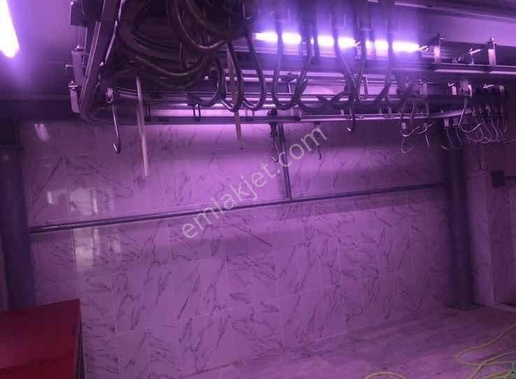 Yön Group'tan Merkezde Kiralık Soğuk Hava Deposu - Görsel 8