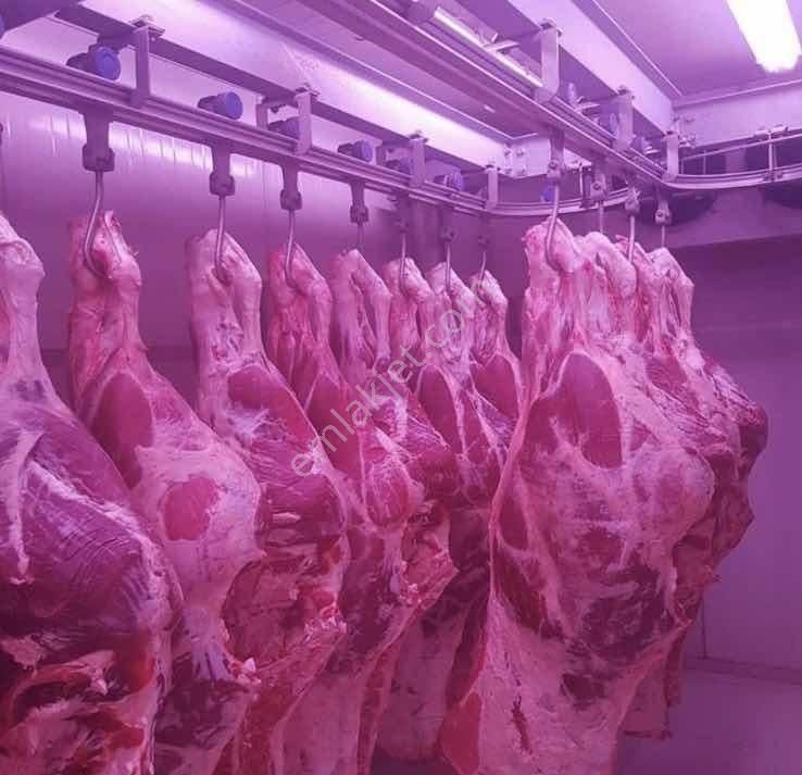 Yön Group'tan Merkezde Kiralık Soğuk Hava Deposu - Görsel 4