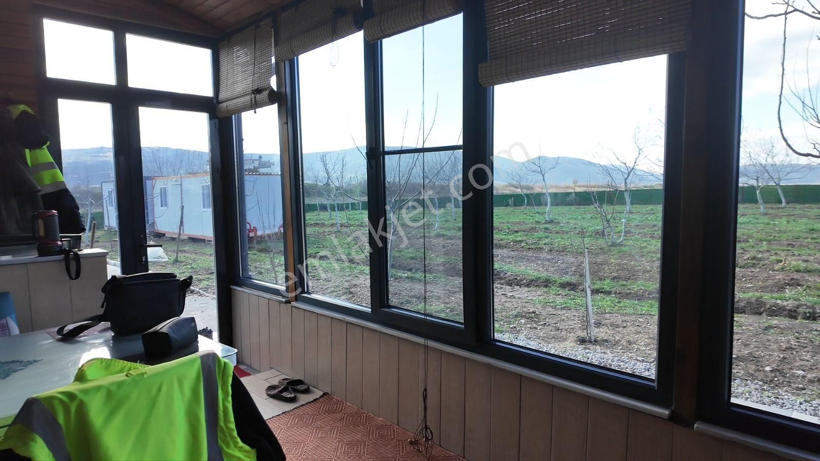 C21 Loca Gökçeyazı'da Şahane Ahşap Çiftlik Evi Ve Meyve Bahçesi - Görsel 12