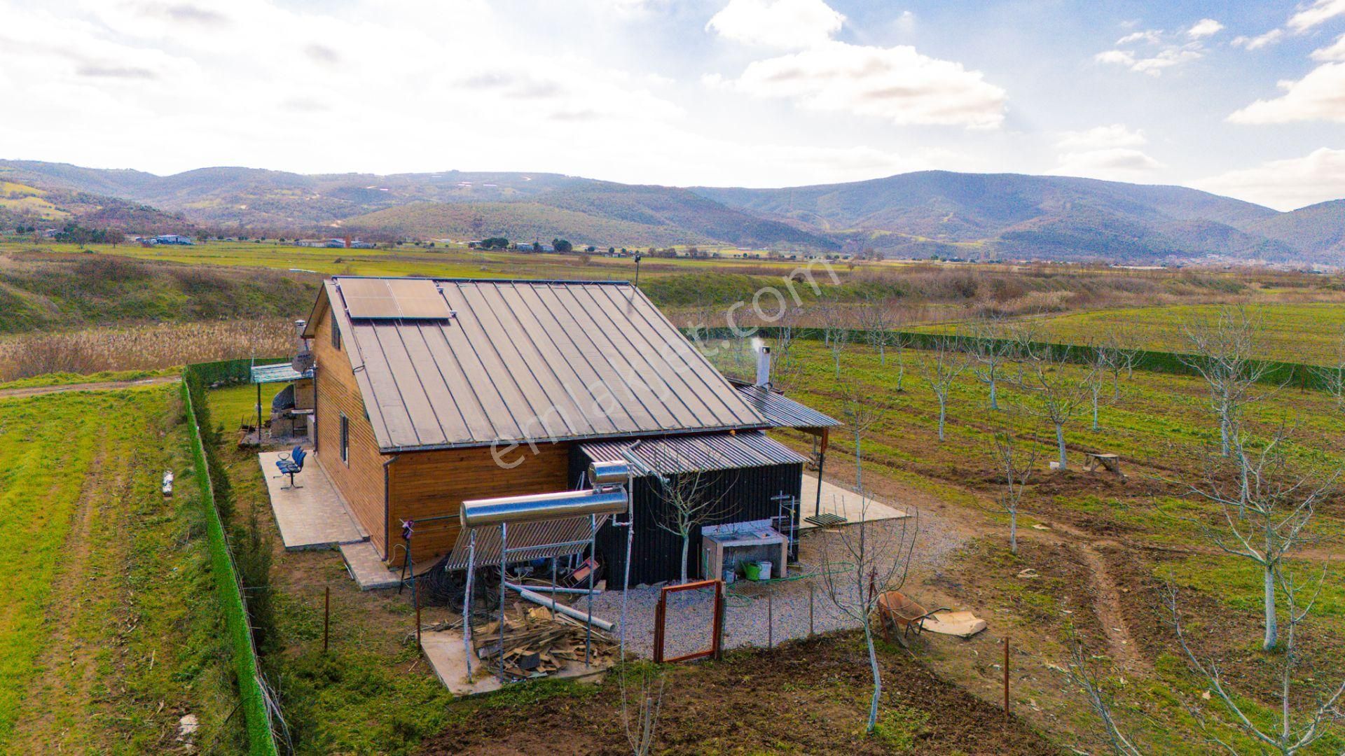 C21 Loca Gökçeyazı'da Şahane Ahşap Çiftlik Evi Ve Meyve Bahçesi - Görsel 3