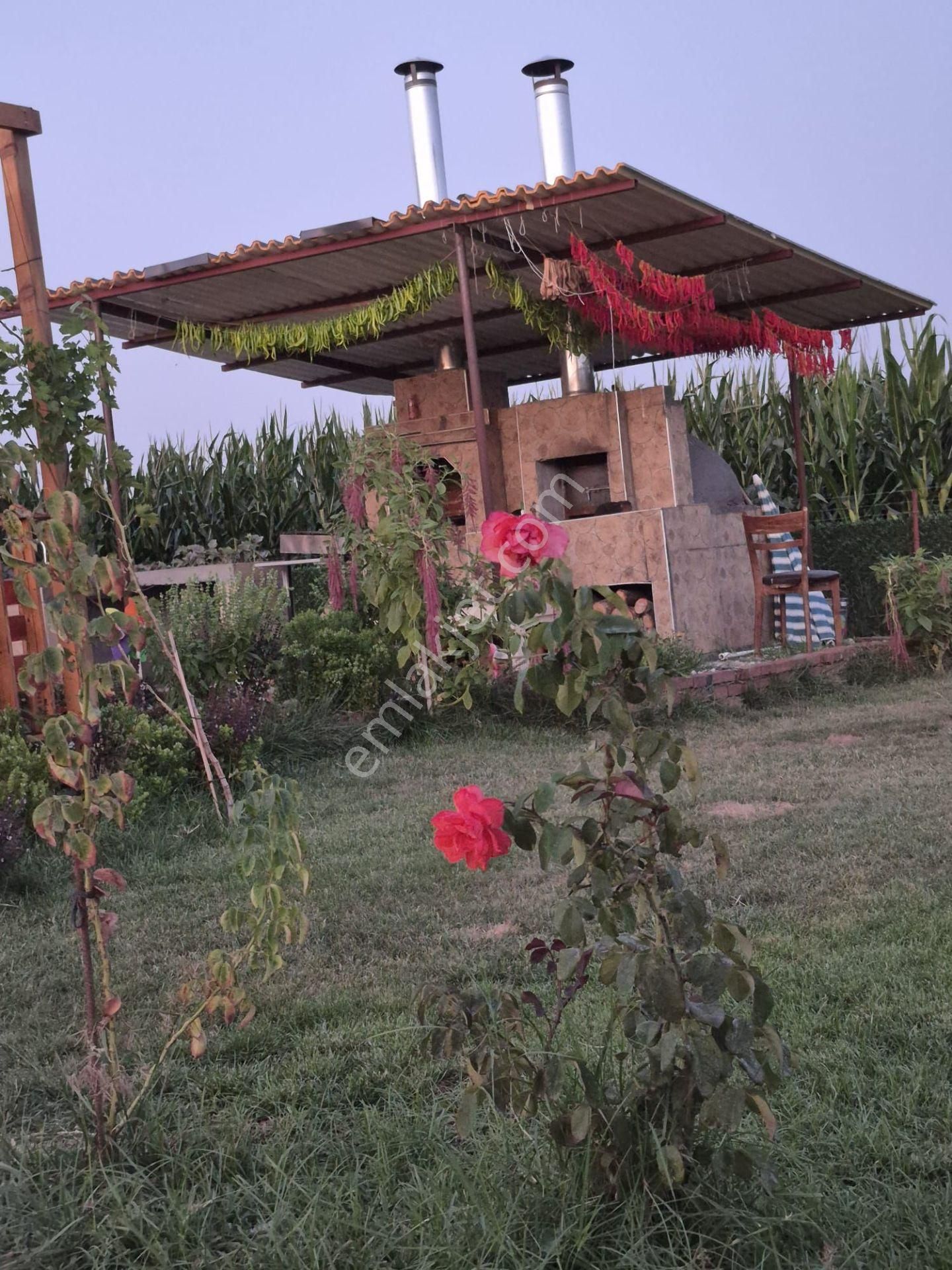 C21 Loca Gökçeyazı'da Şahane Ahşap Çiftlik Evi Ve Meyve Bahçesi - Görsel 6