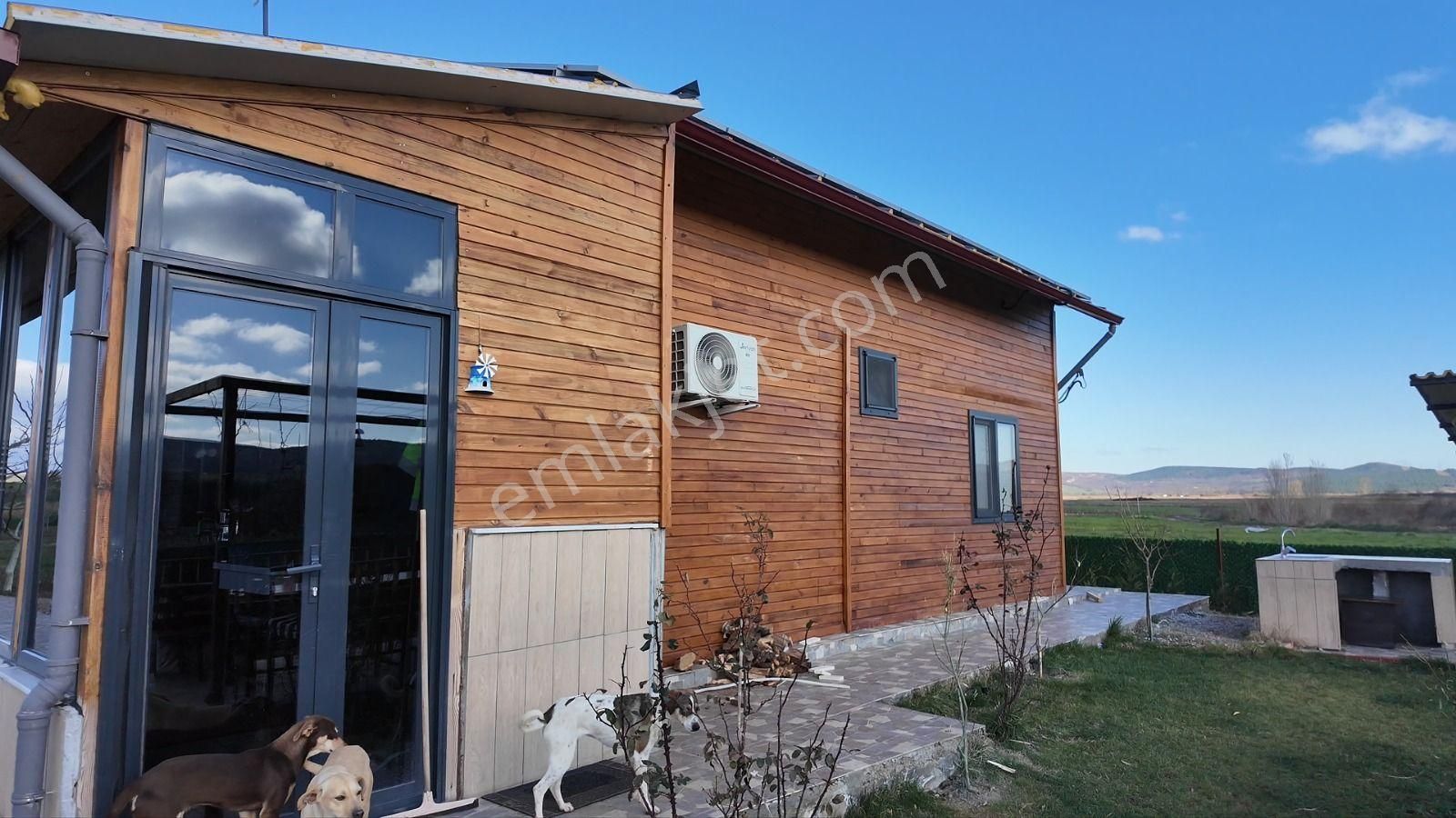 C21 Loca Gökçeyazı'da Şahane Ahşap Çiftlik Evi Ve Meyve Bahçesi - Görsel 4