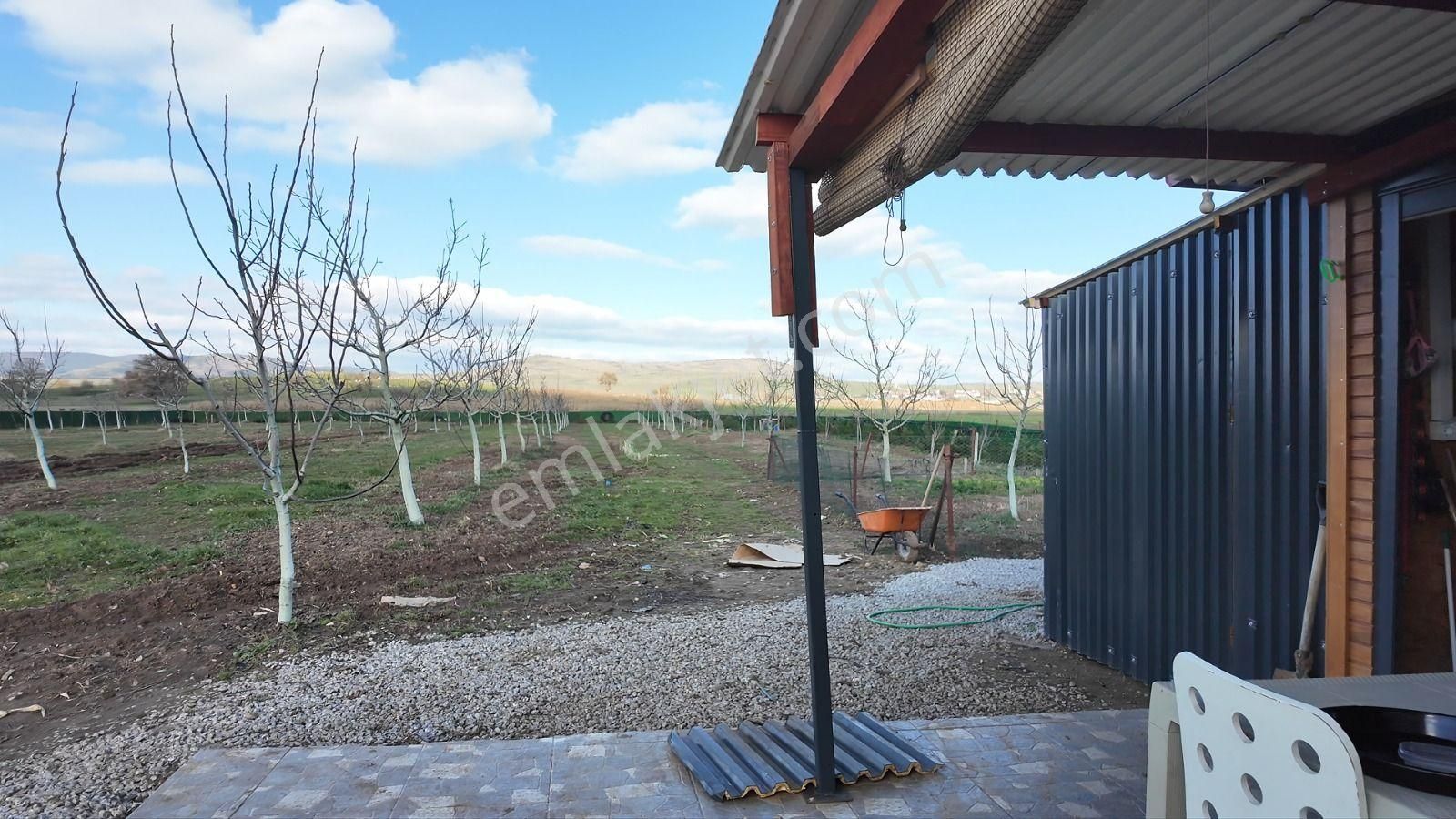 C21 Loca Gökçeyazı'da Şahane Ahşap Çiftlik Evi Ve Meyve Bahçesi - Görsel 10