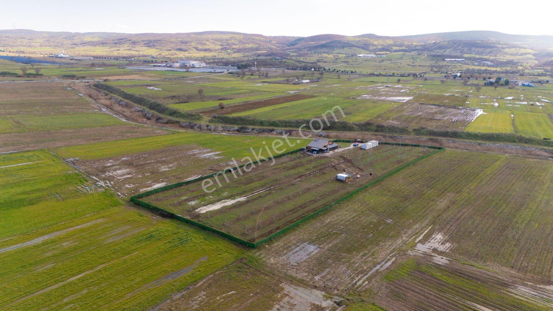 C21 Loca Gökçeyazı'da Şahane Ahşap Çiftlik Evi Ve Meyve Bahçesi - Görsel 31