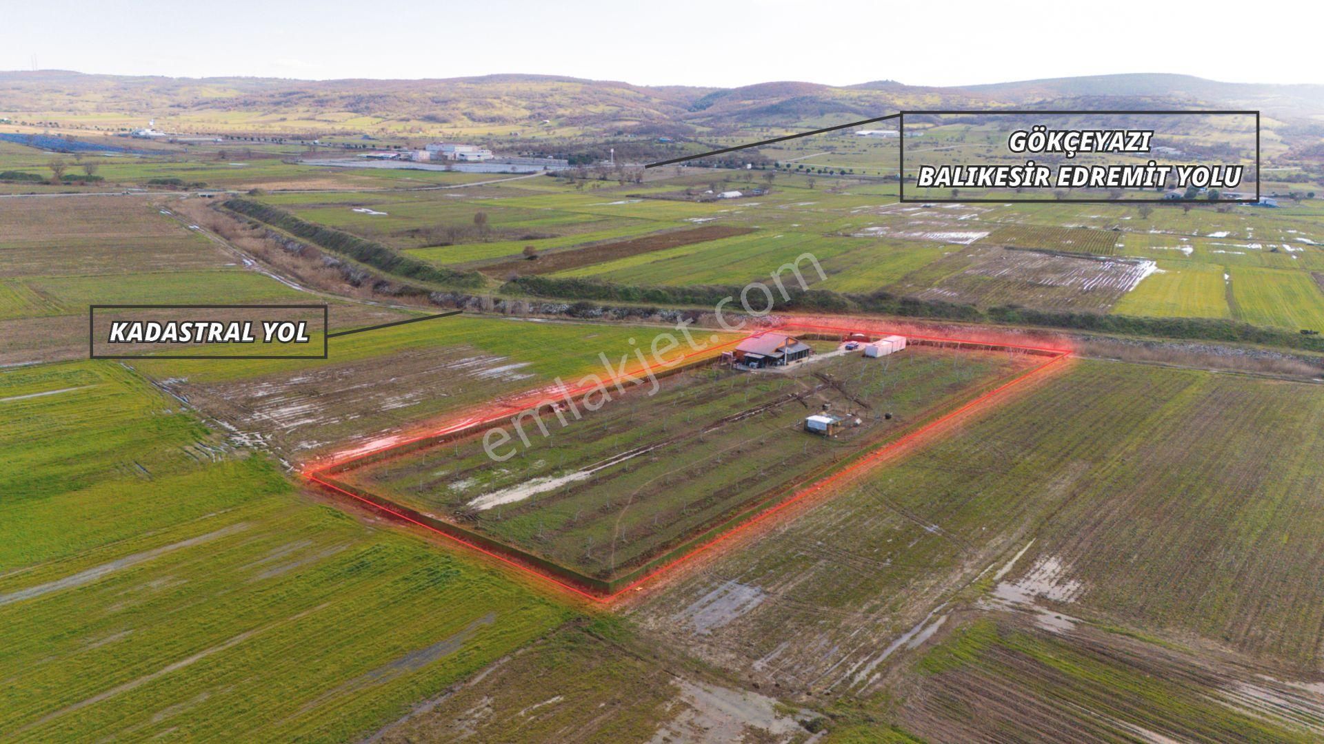 C21 Loca Gökçeyazı'da Şahane Ahşap Çiftlik Evi Ve Meyve Bahçesi - Görsel 30