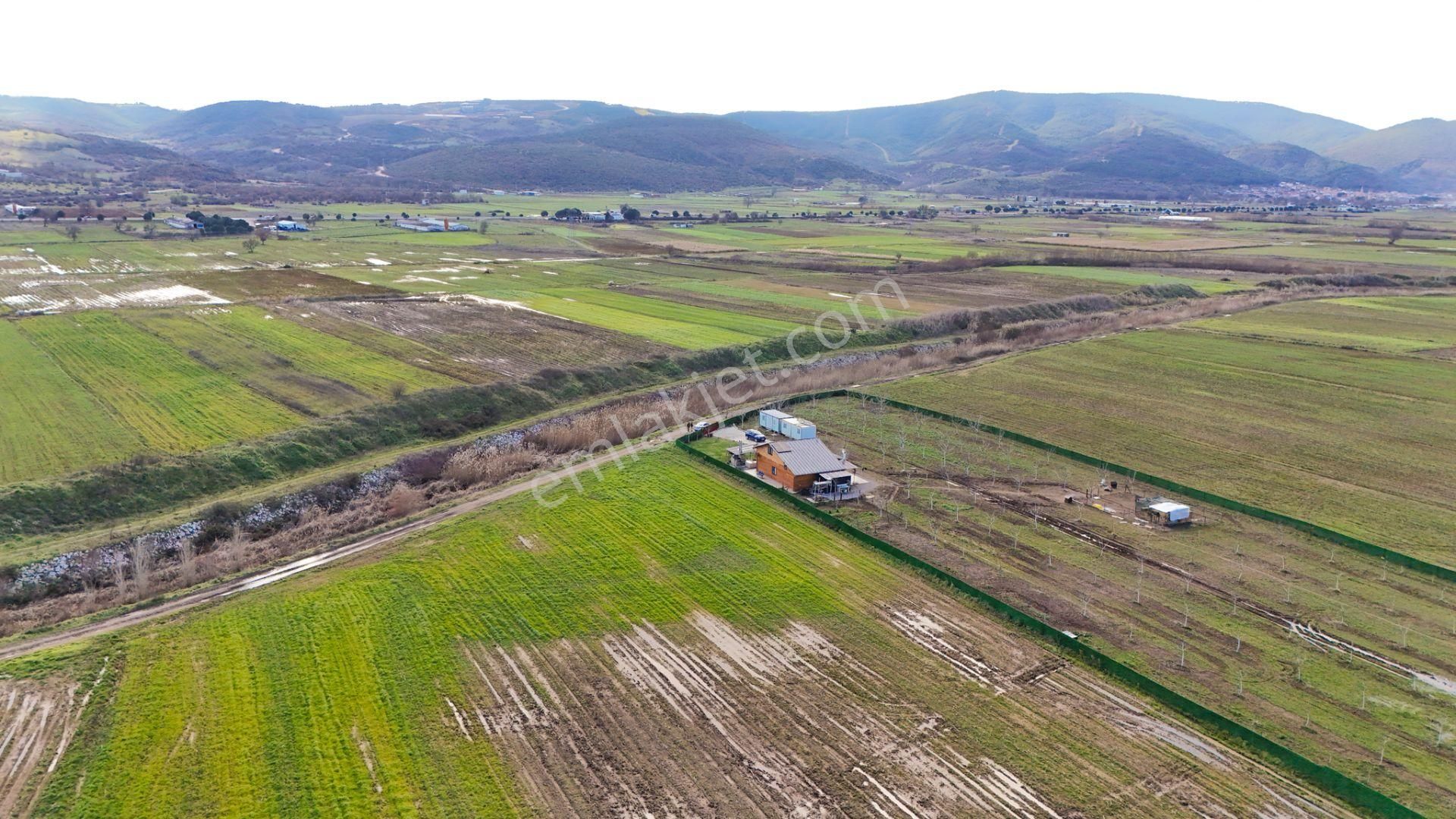 C21 Loca Gökçeyazı'da Şahane Ahşap Çiftlik Evi Ve Meyve Bahçesi - Görsel 34
