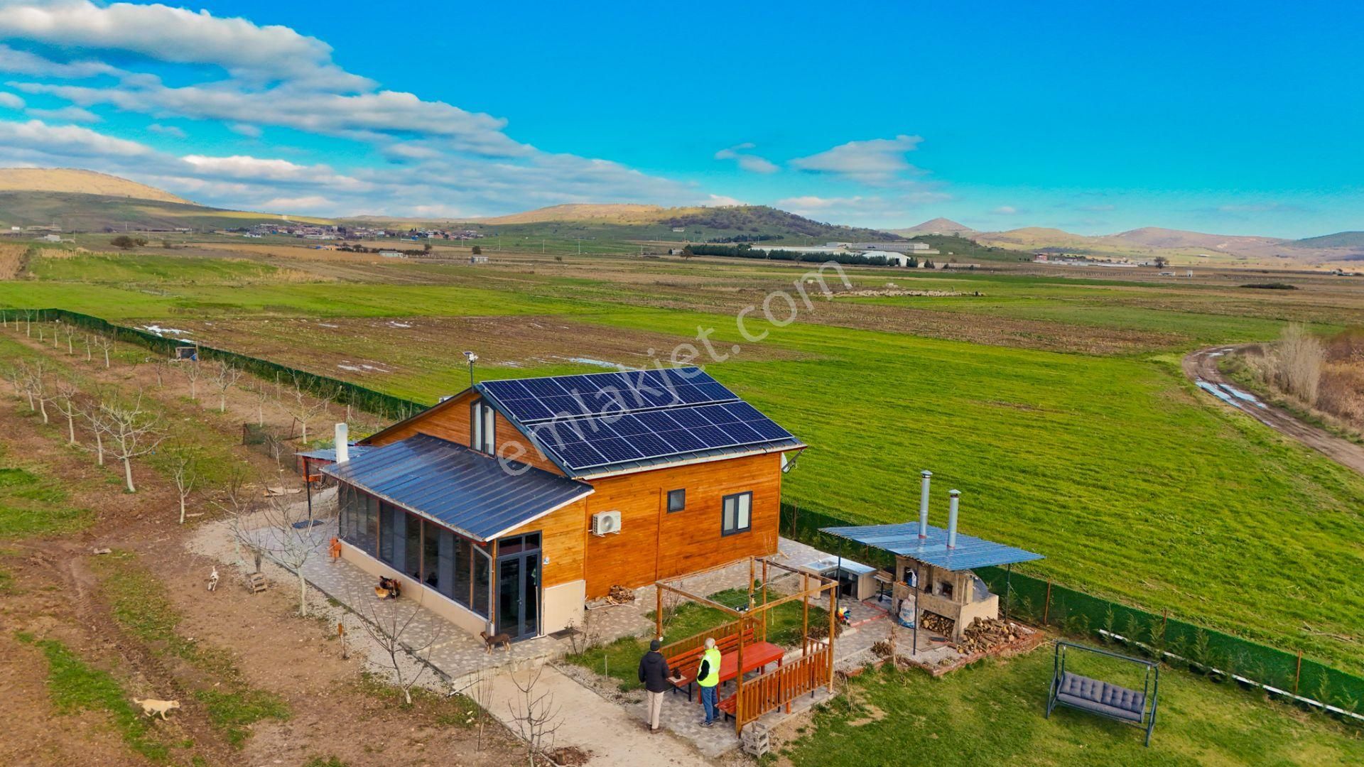 C21 Loca Gökçeyazı'da Şahane Ahşap Çiftlik Evi Ve Meyve Bahçesi