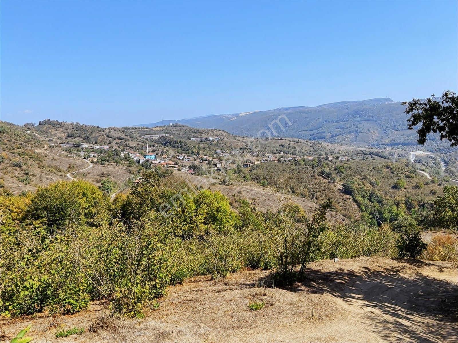 Düzce Yığılca'da 1616 M² Manzaralı Satılık Arsa - Görsel 3