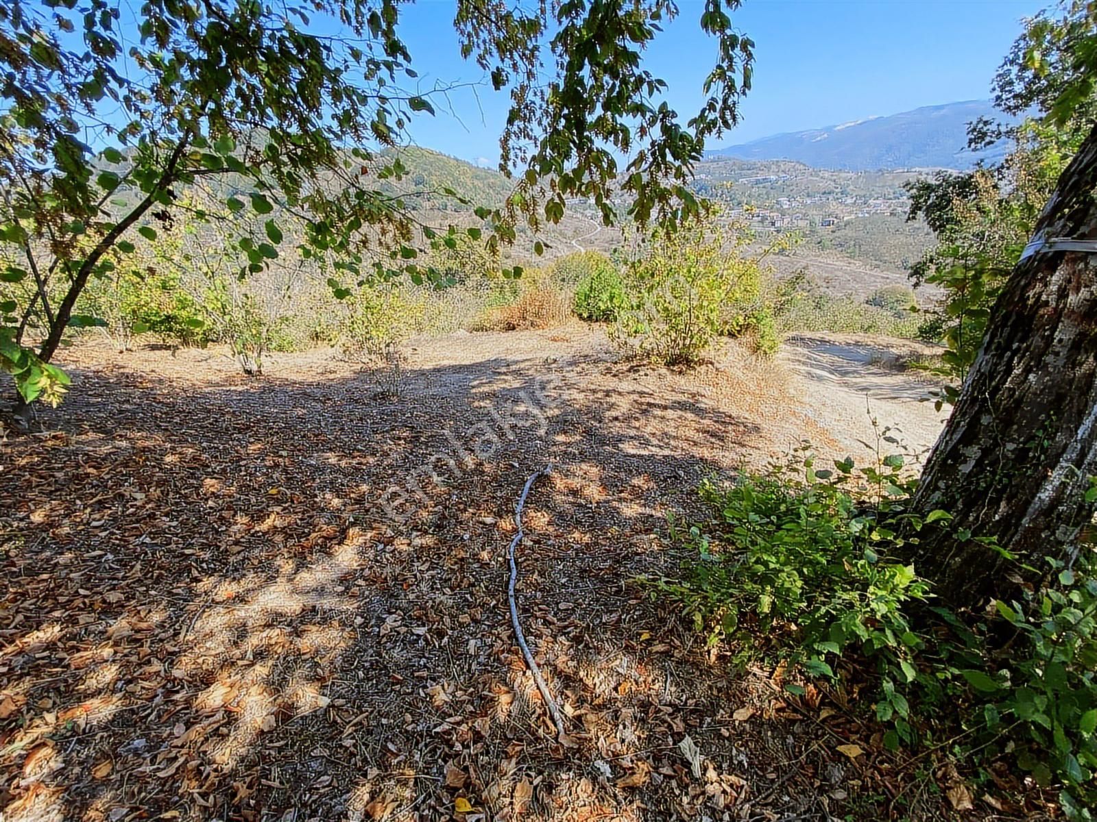 Düzce Yığılca'da 1616 M² Manzaralı Satılık Arsa - Görsel 6