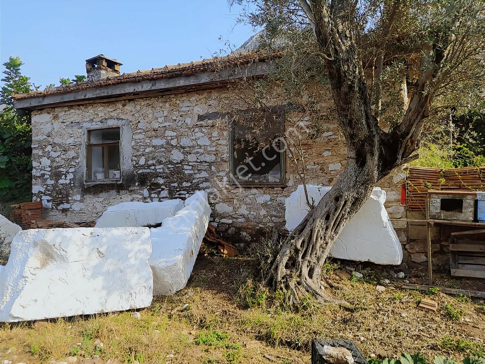 Marvera'dan Orhaniye Köy İçi 1517 M2 Arsa Kargir Ev Dükkan Bahçe - Görsel 15