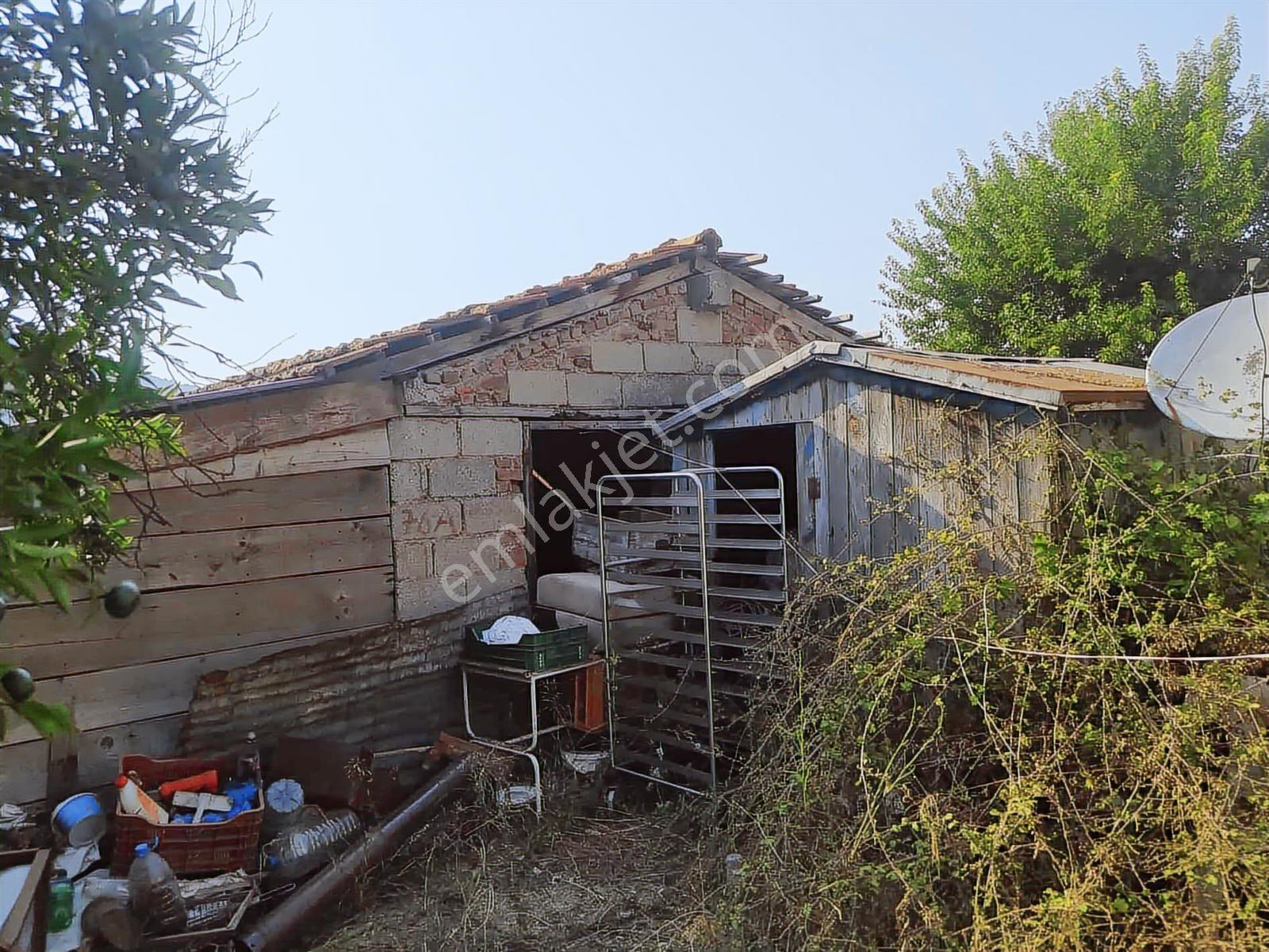 Marvera'dan Orhaniye Köy İçi 1517 M2 Arsa Kargir Ev Dükkan Bahçe - Görsel 19