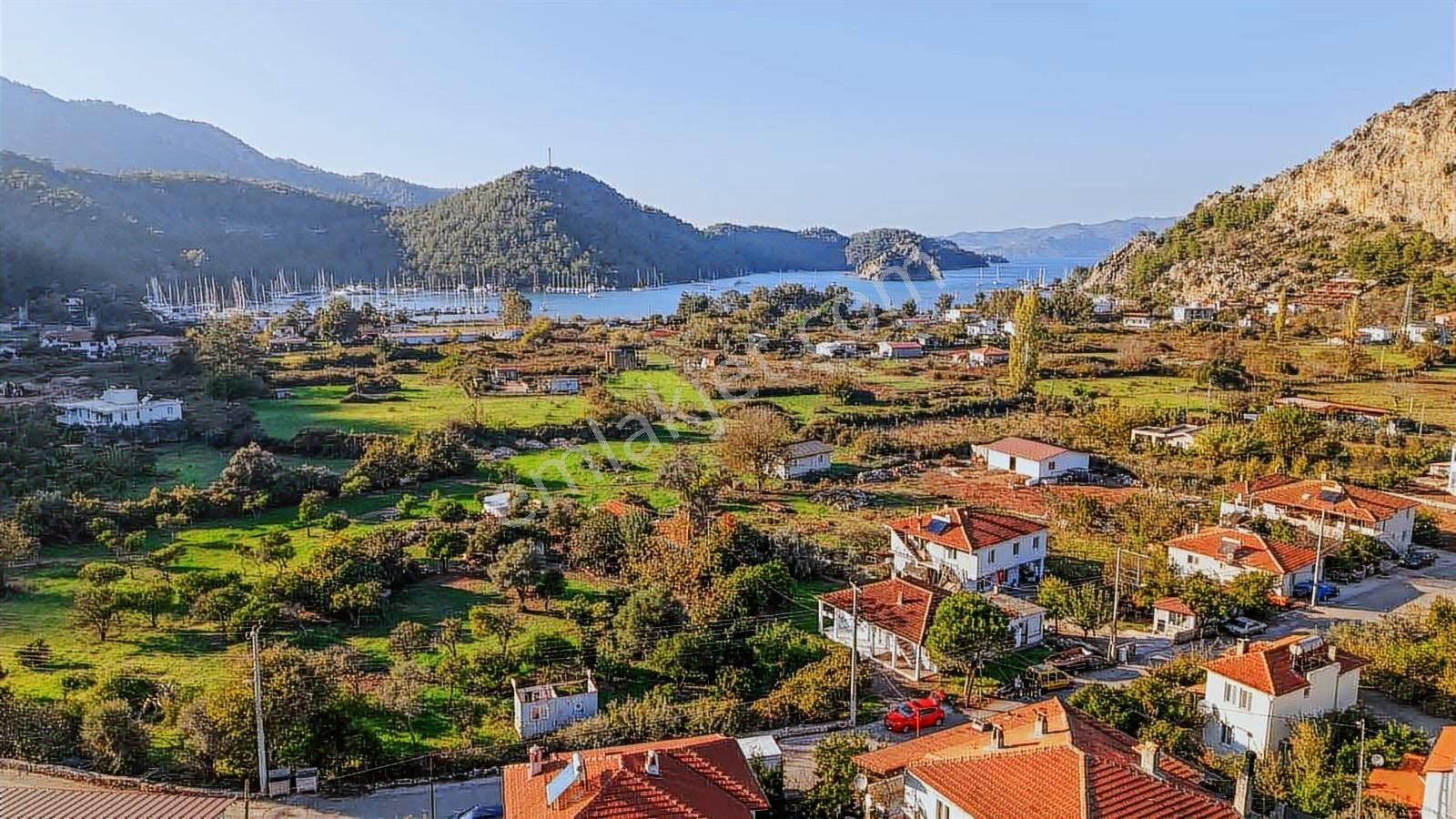 Marvera'dan Orhaniye Köy İçi 1517 M2 Arsa Kargir Ev Dükkan Bahçe - Görsel 13